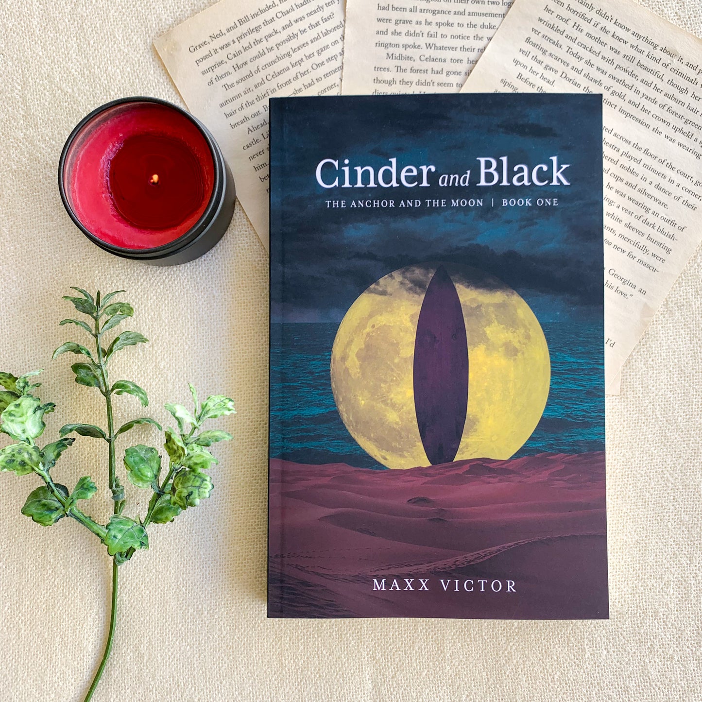 Anchor and the Moon series by Maxx Victor
