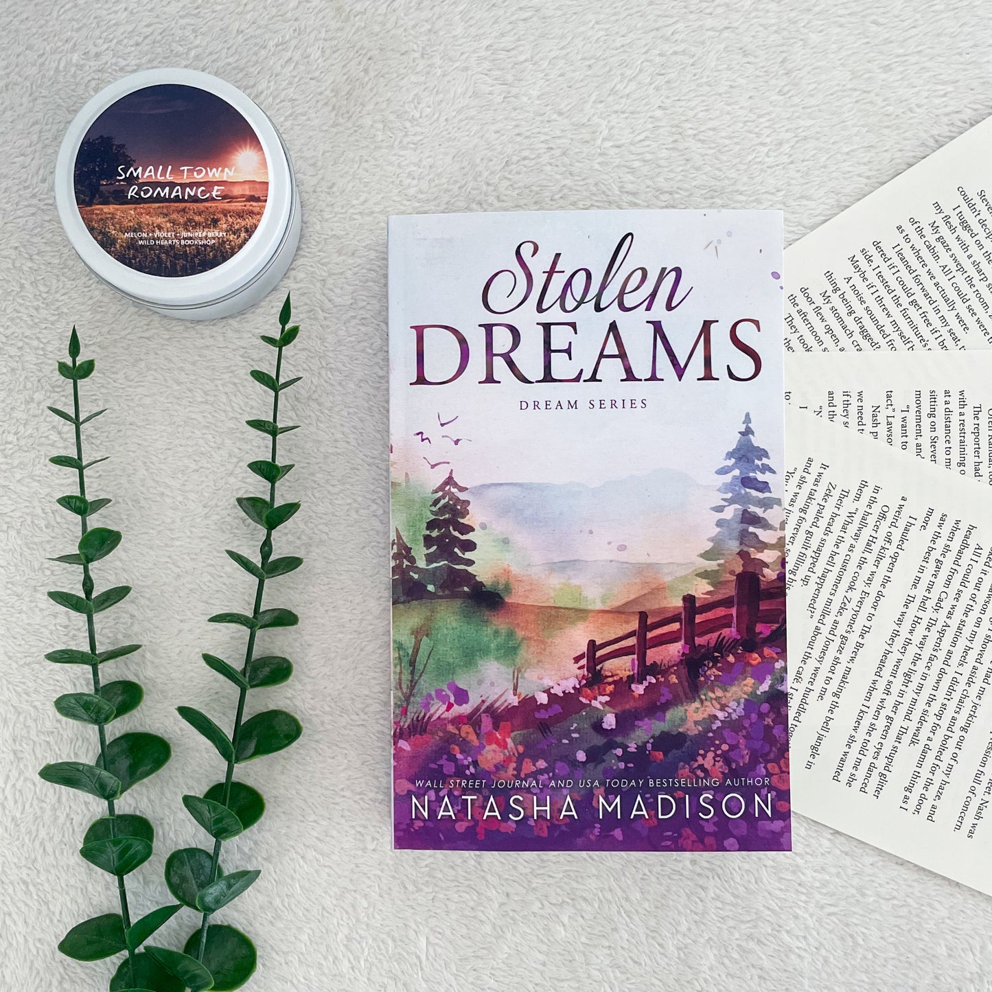 Dream series by Natasha Madison