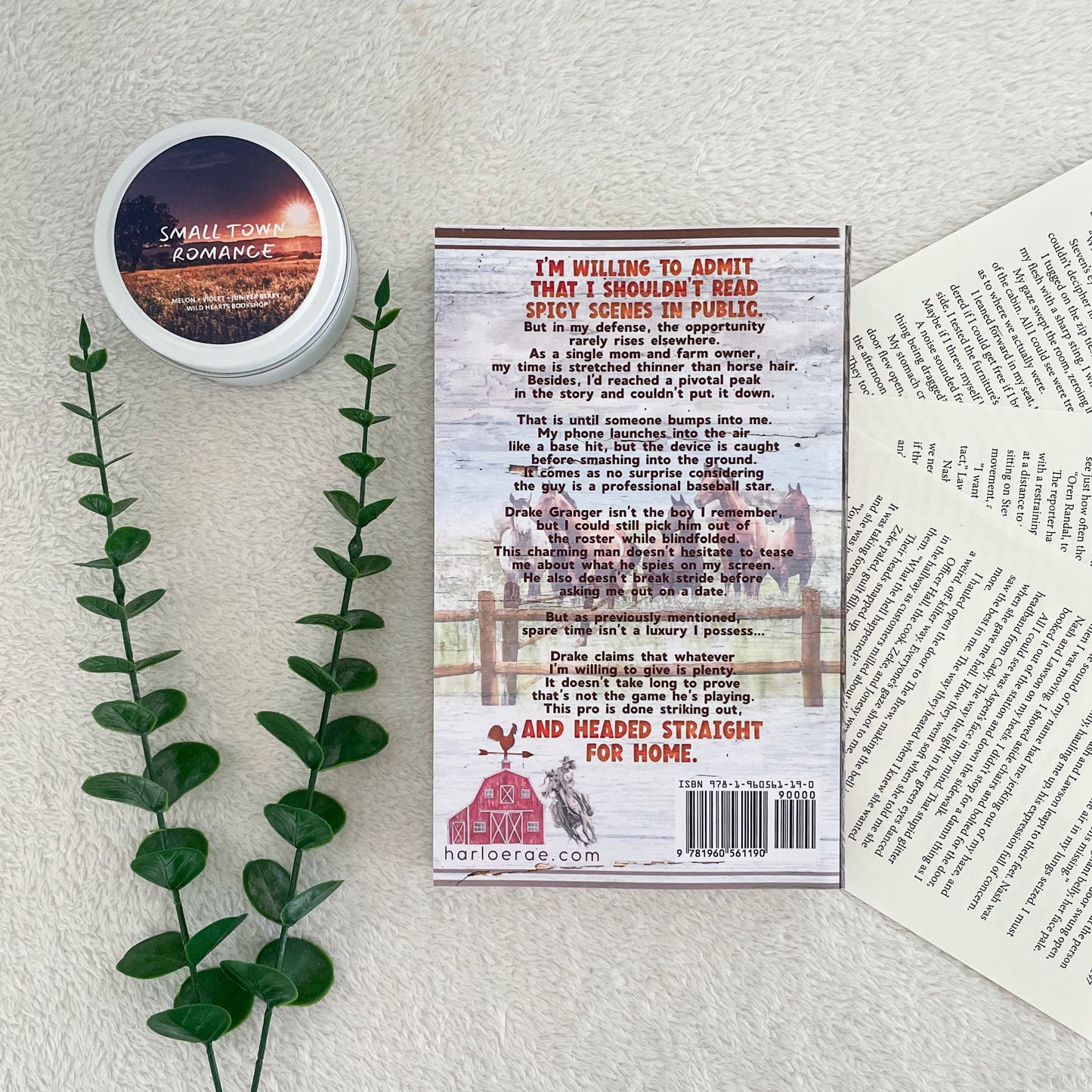 Headed for Home by Harloe Rae