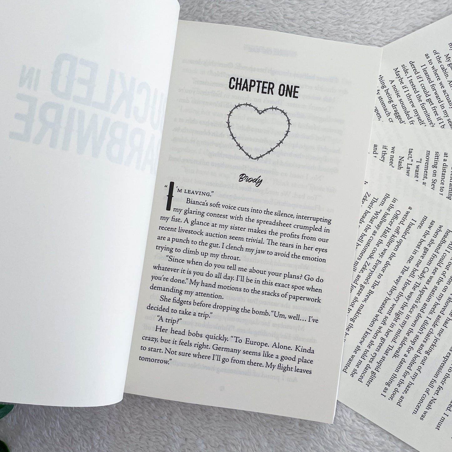 Cloverleaf Meadows series by Harloe Rae