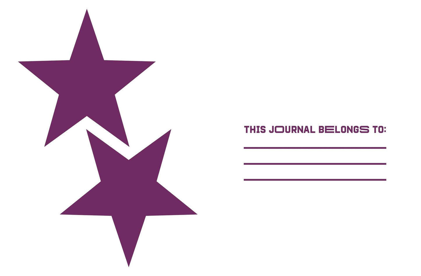 A Reading Journal: Too Much Plot