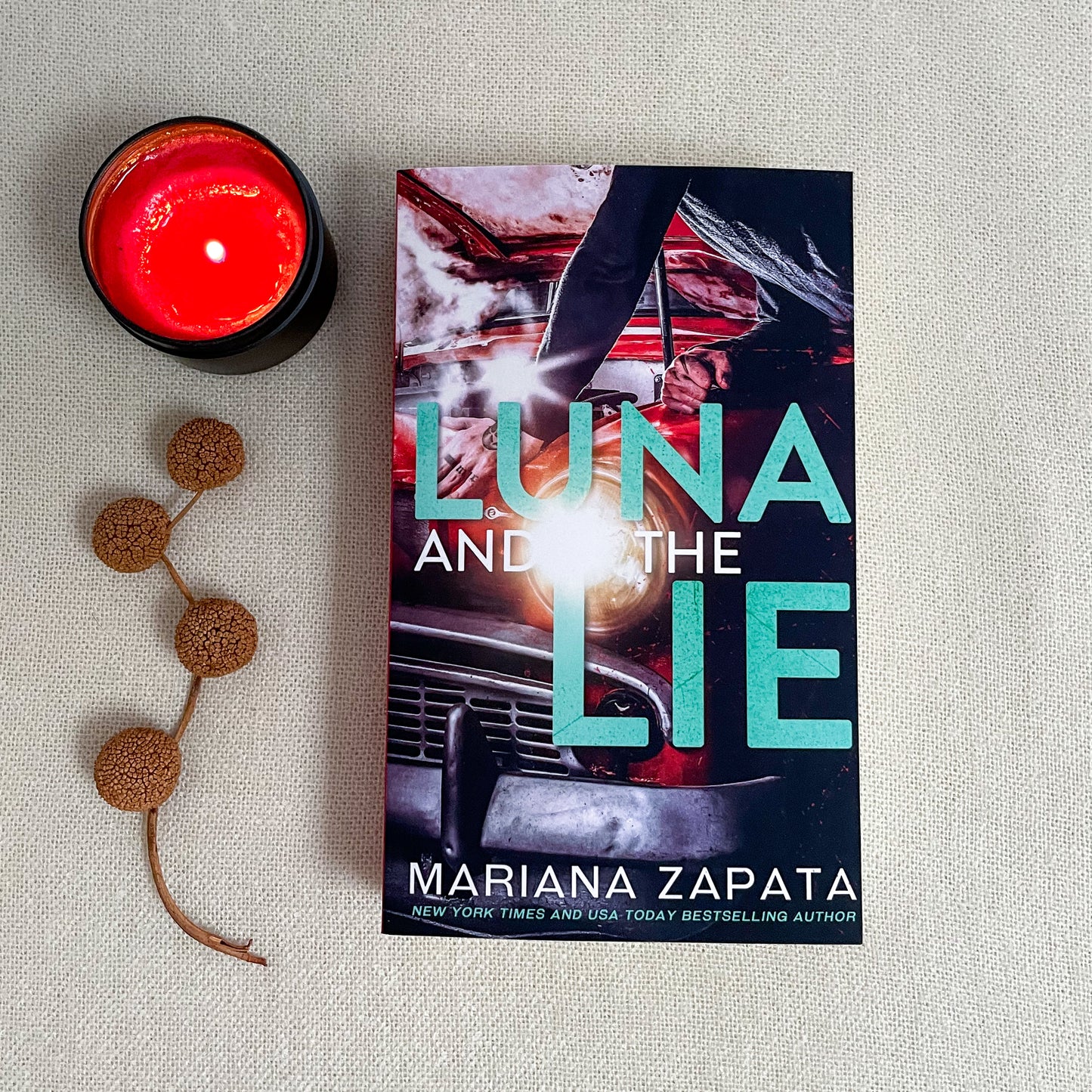 Luna and the Lie by Mariana Zapata