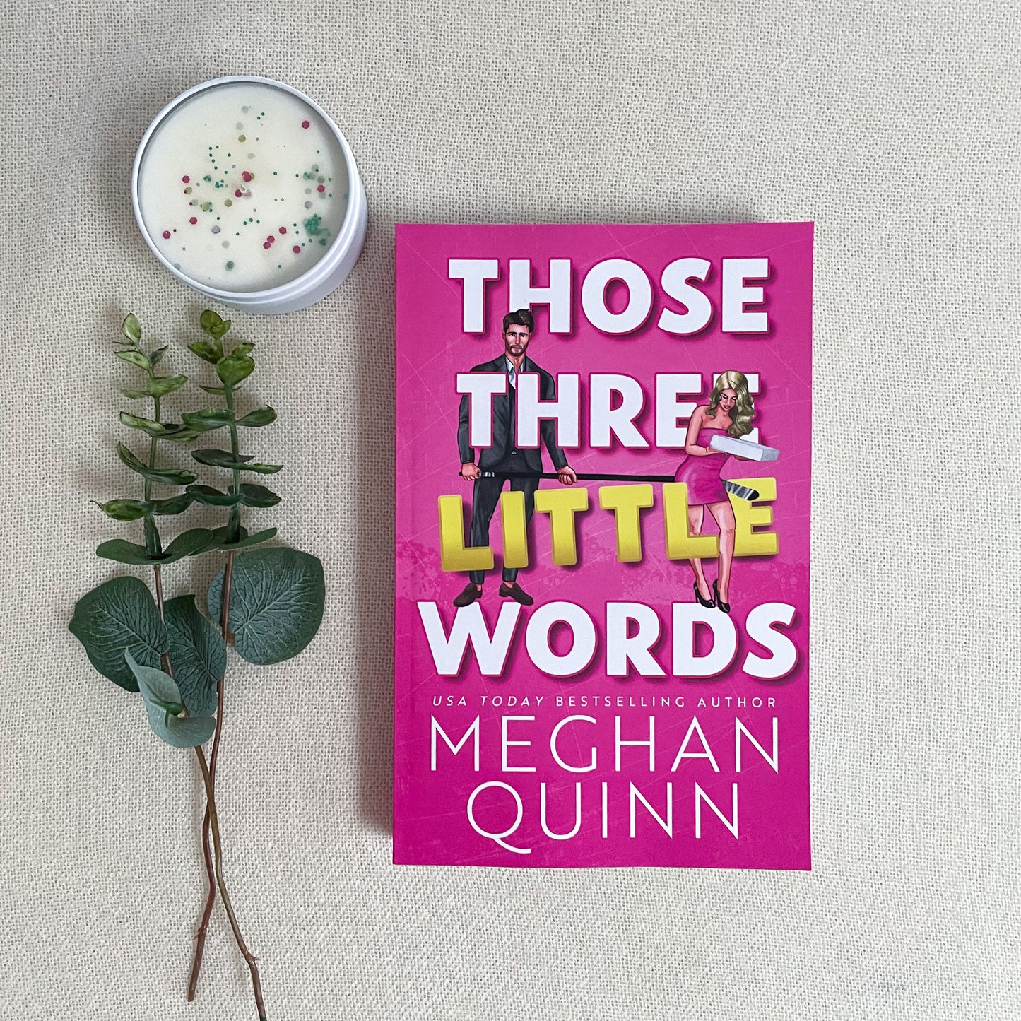 The Vancouver Agitators series by Meghan Quinn