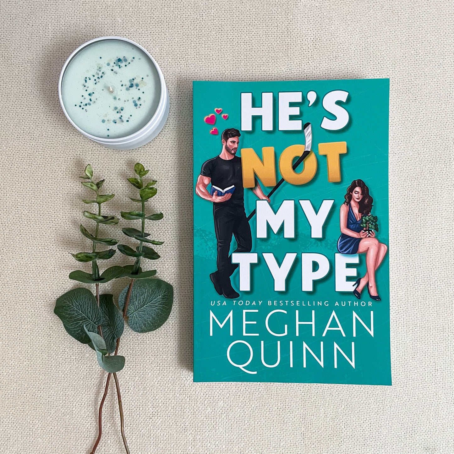 The Vancouver Agitators series by Meghan Quinn