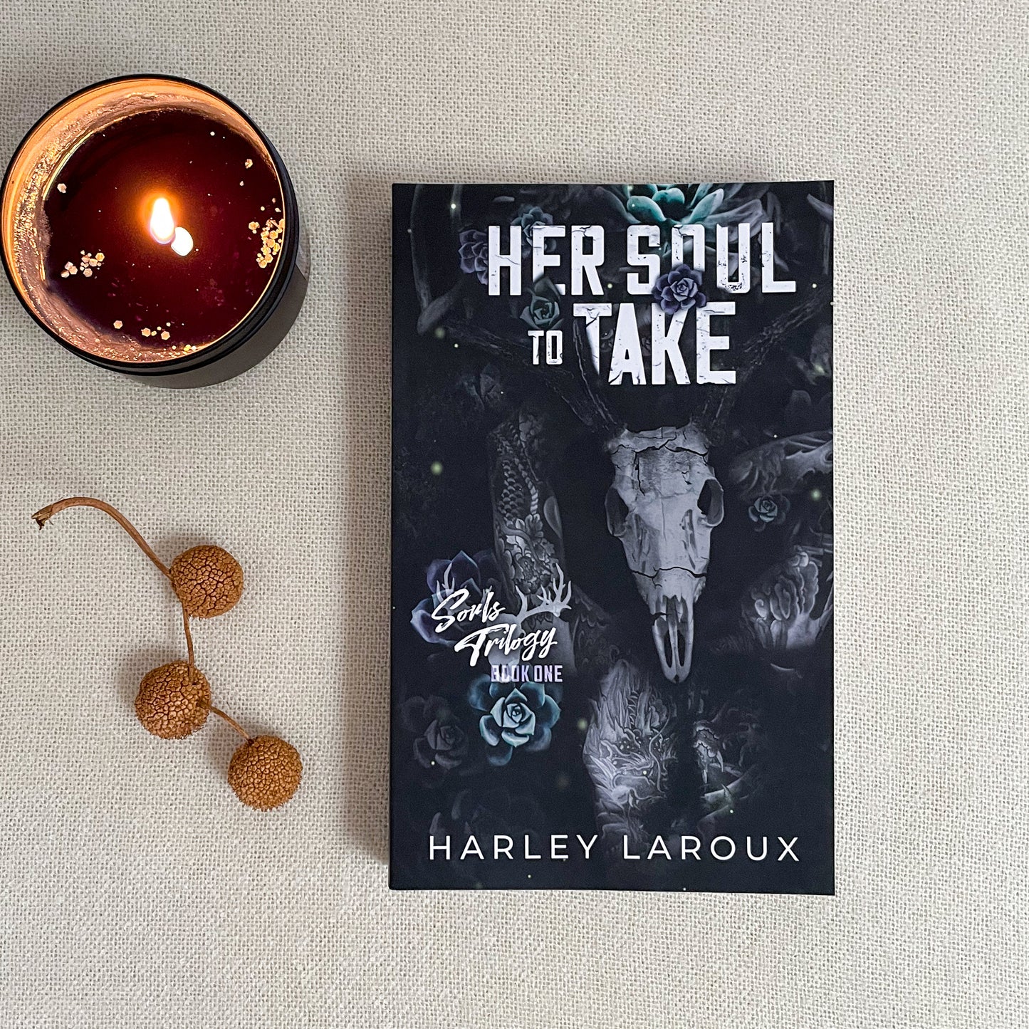 Souls trilogy by Harley Laroux