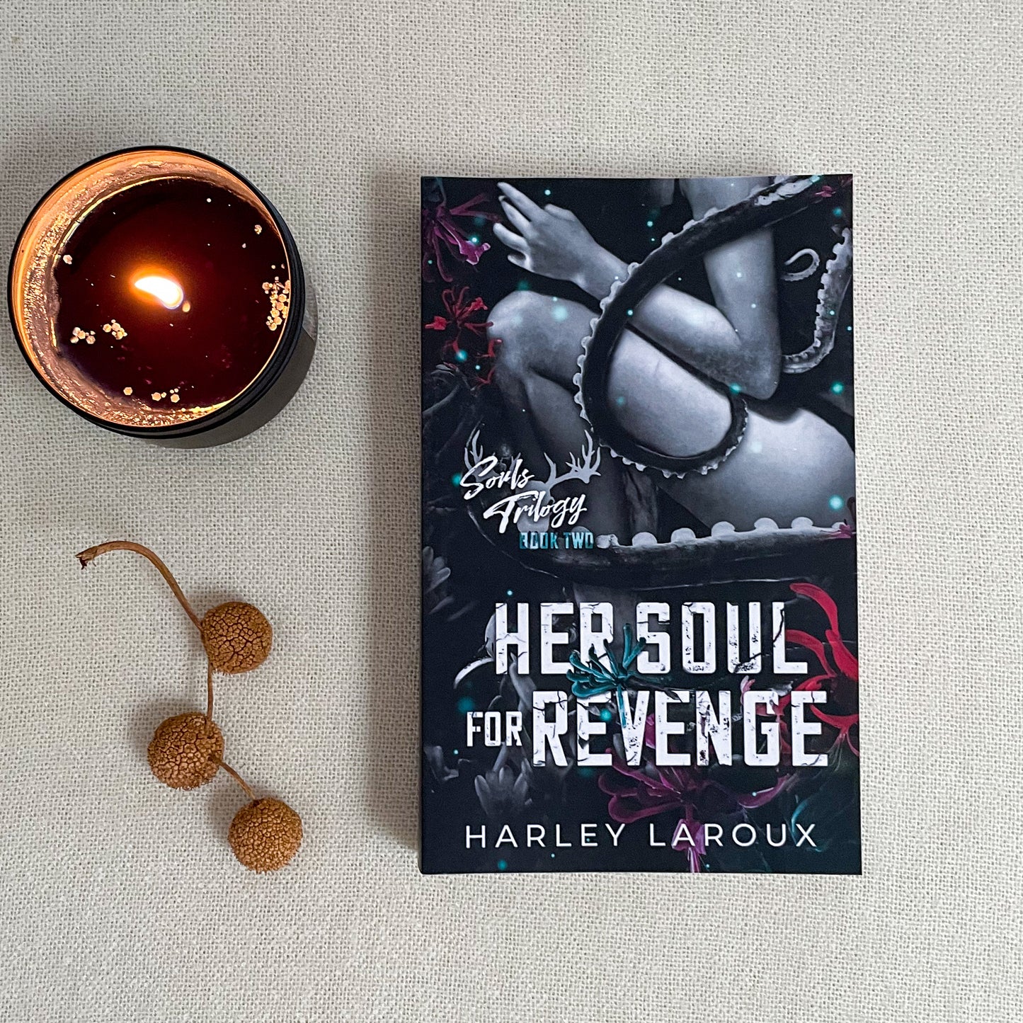 Souls trilogy by Harley Laroux