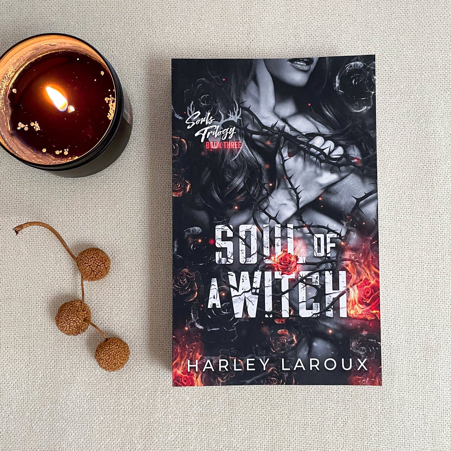 Souls trilogy by Harley Laroux