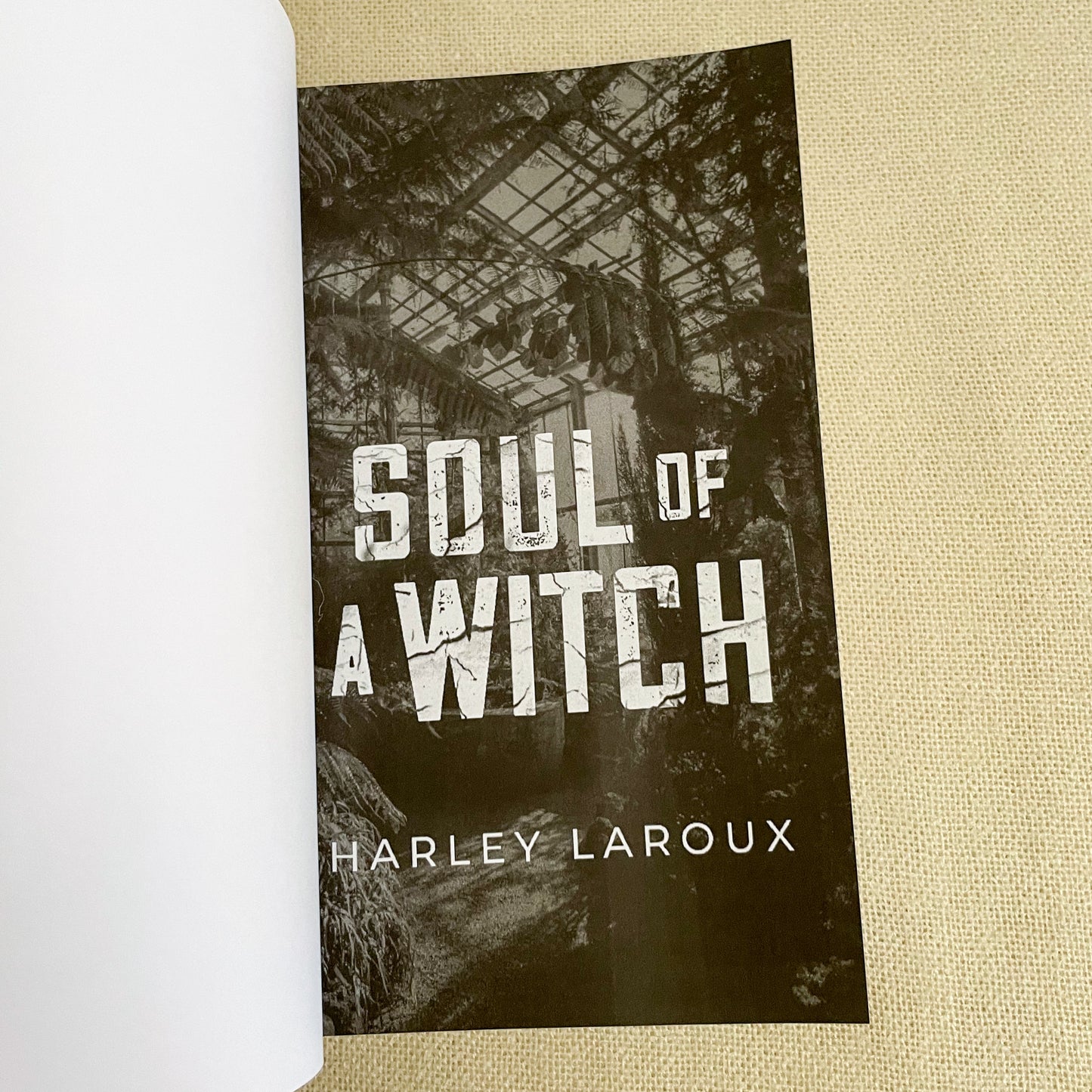 Souls trilogy by Harley Laroux