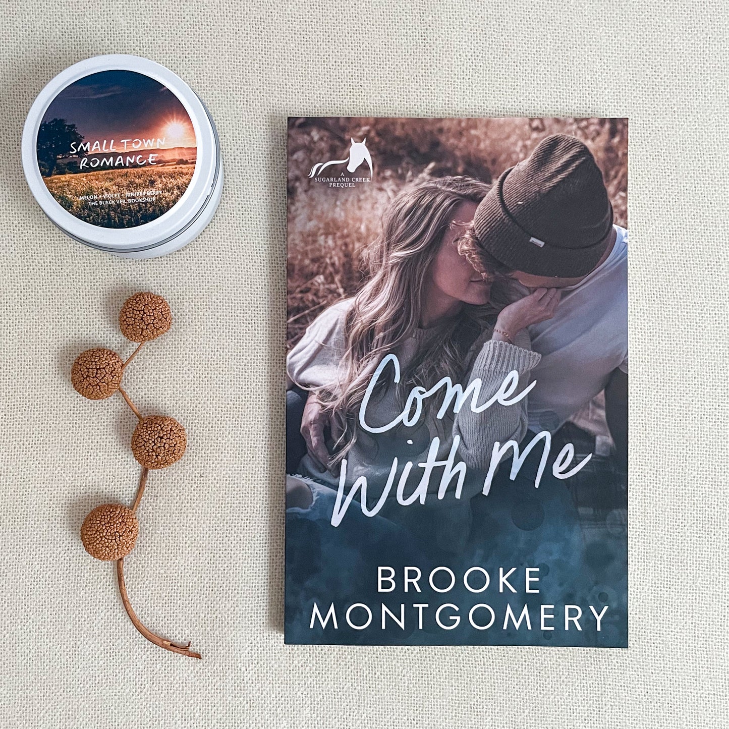 Sugarland Creek by Brooke Montgomery