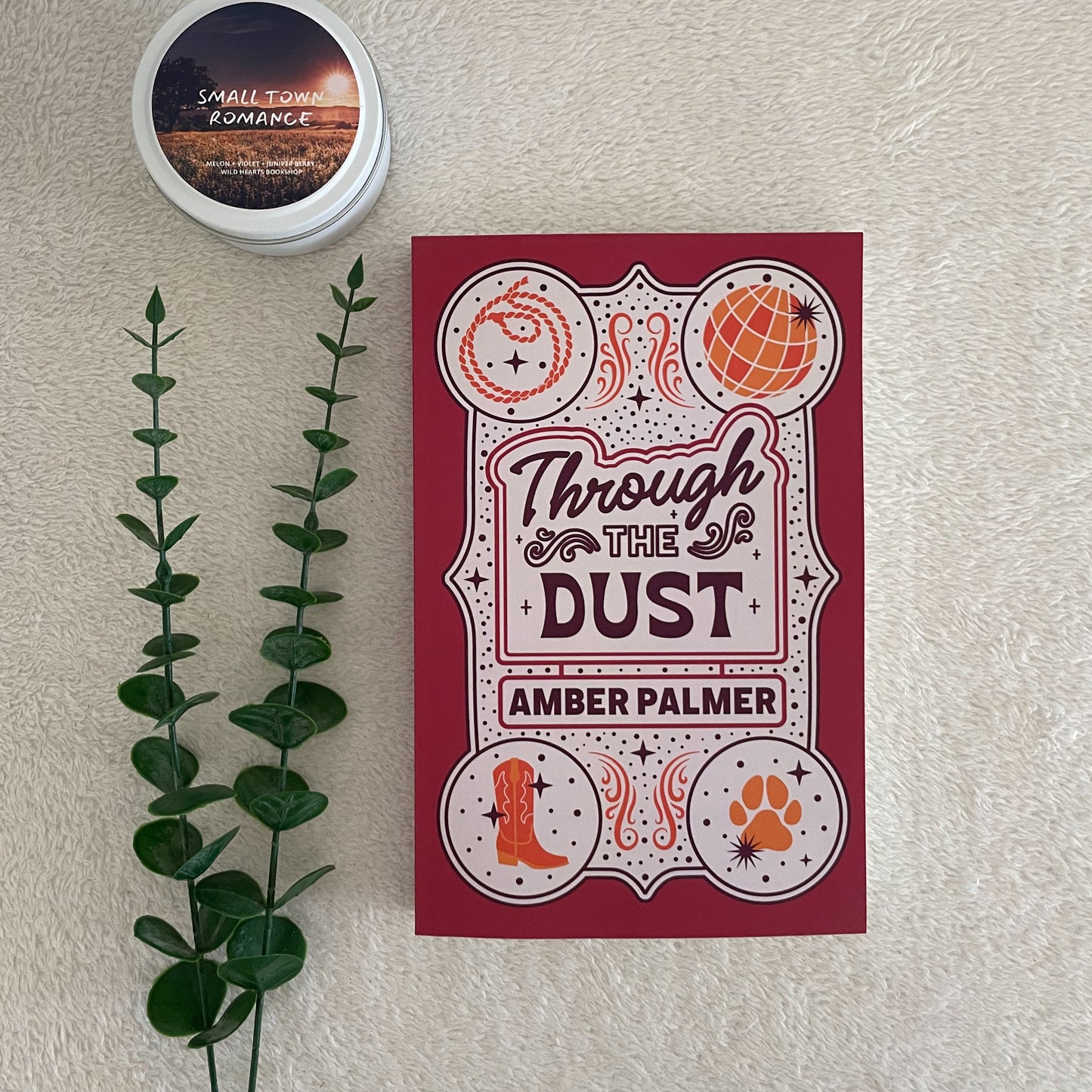 Black Springs Ranch series by Amber Palmer