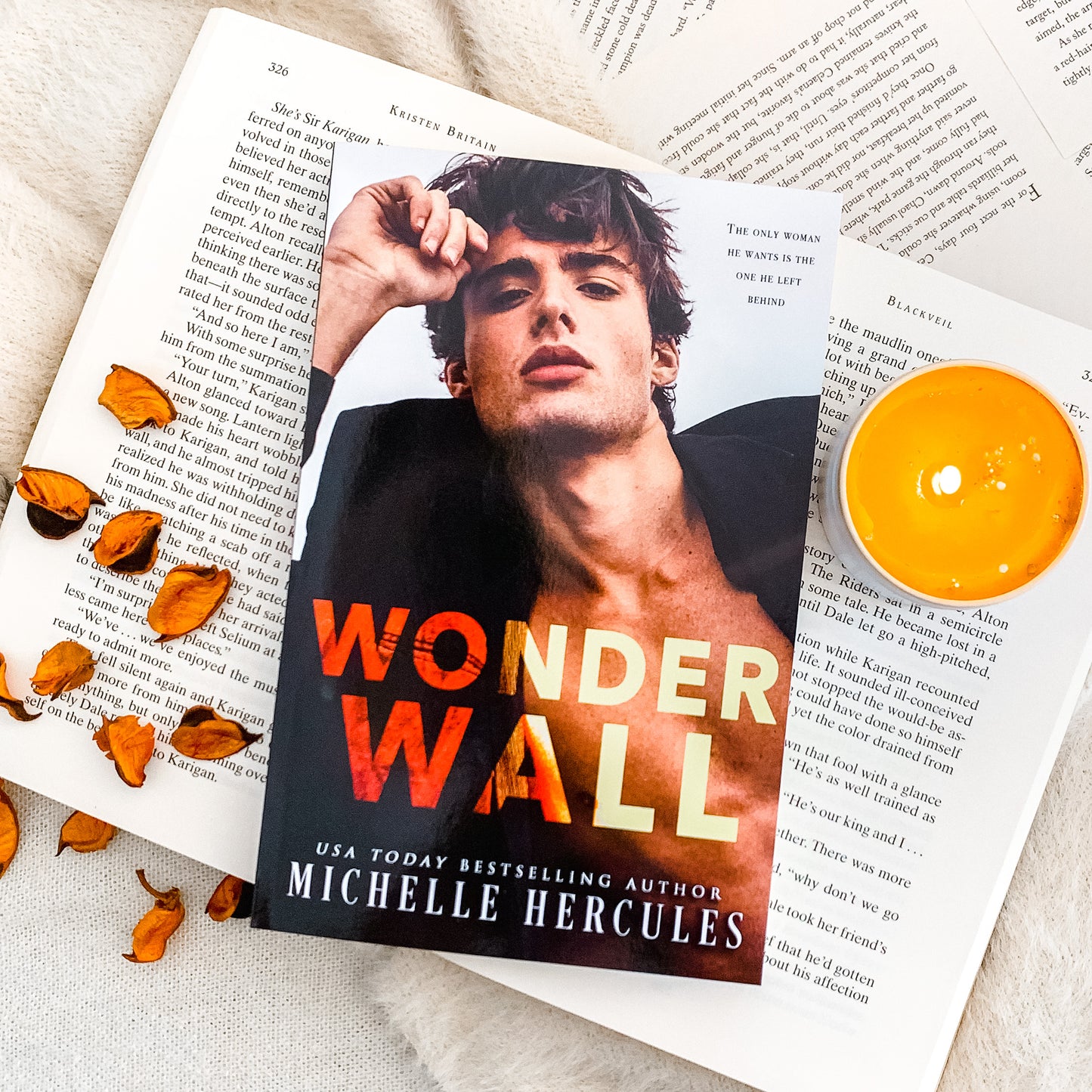 Love Me, I’m Famous Series by Michelle Hercules