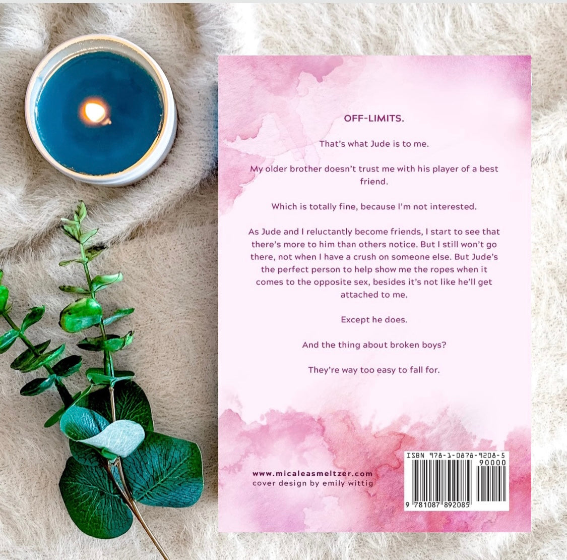 The Boys Series - Special Editions by Micalea Smeltzer