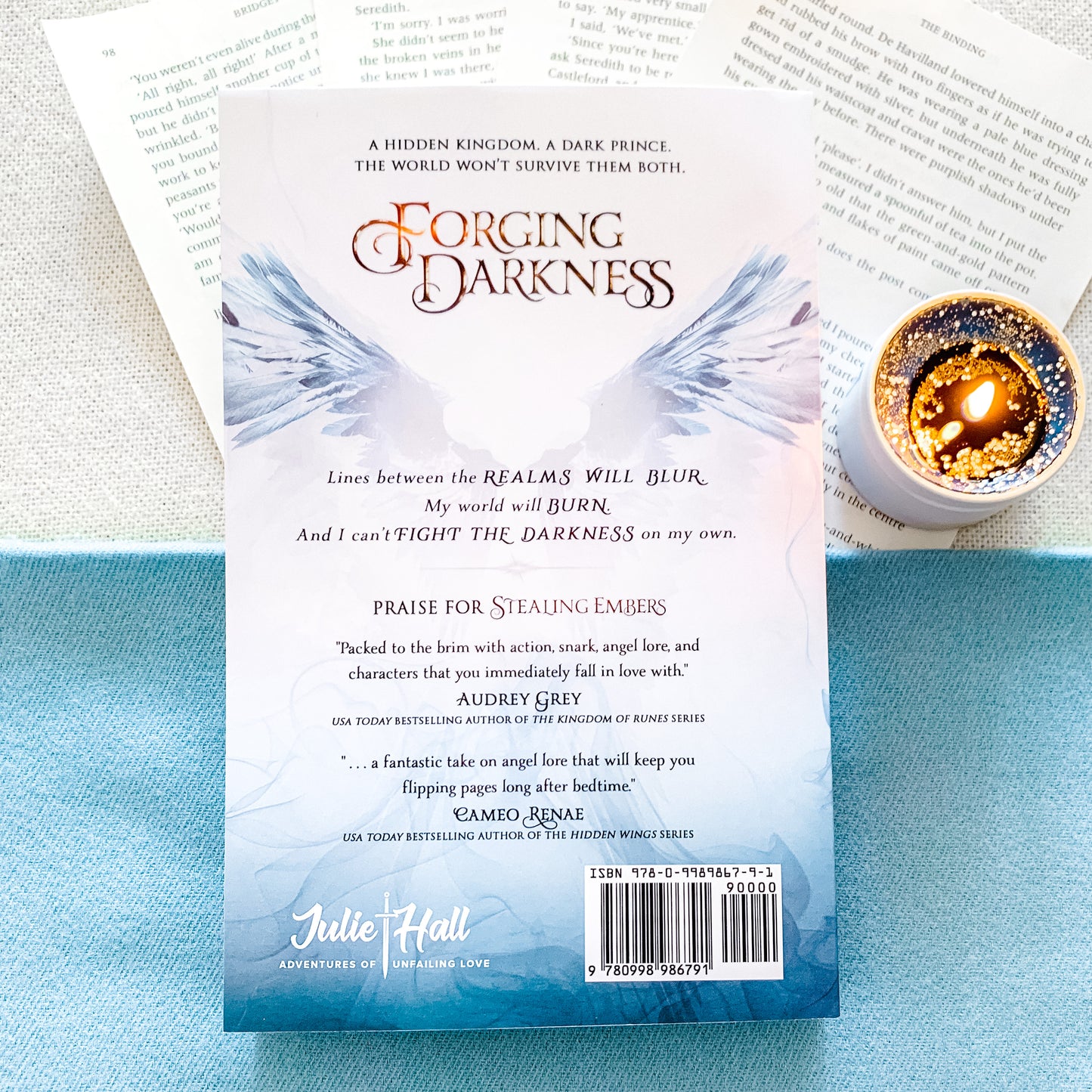 Fallen Legacies Series by Julie Hall