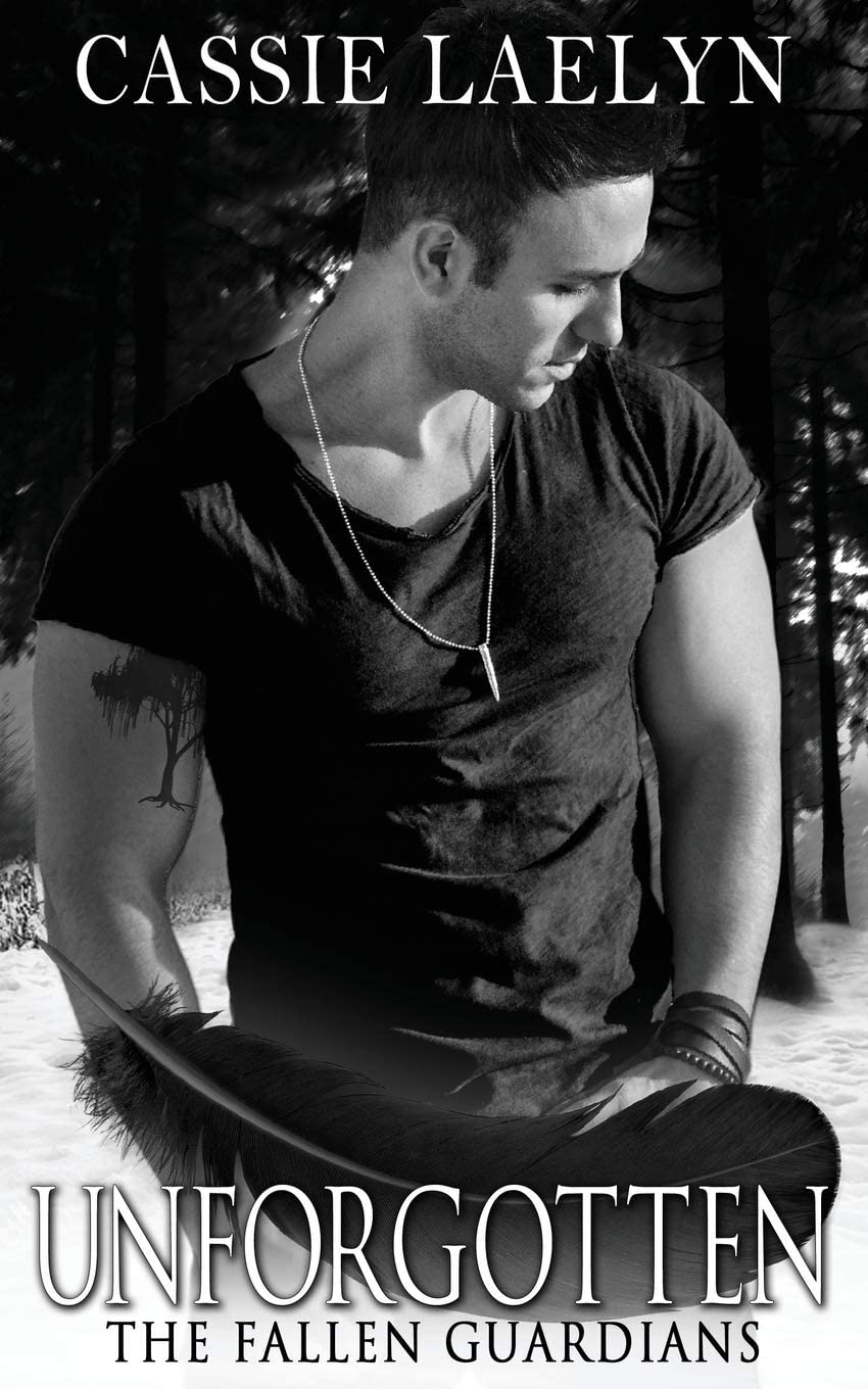 The Fallen Guardians Series by Cassie Laelyn