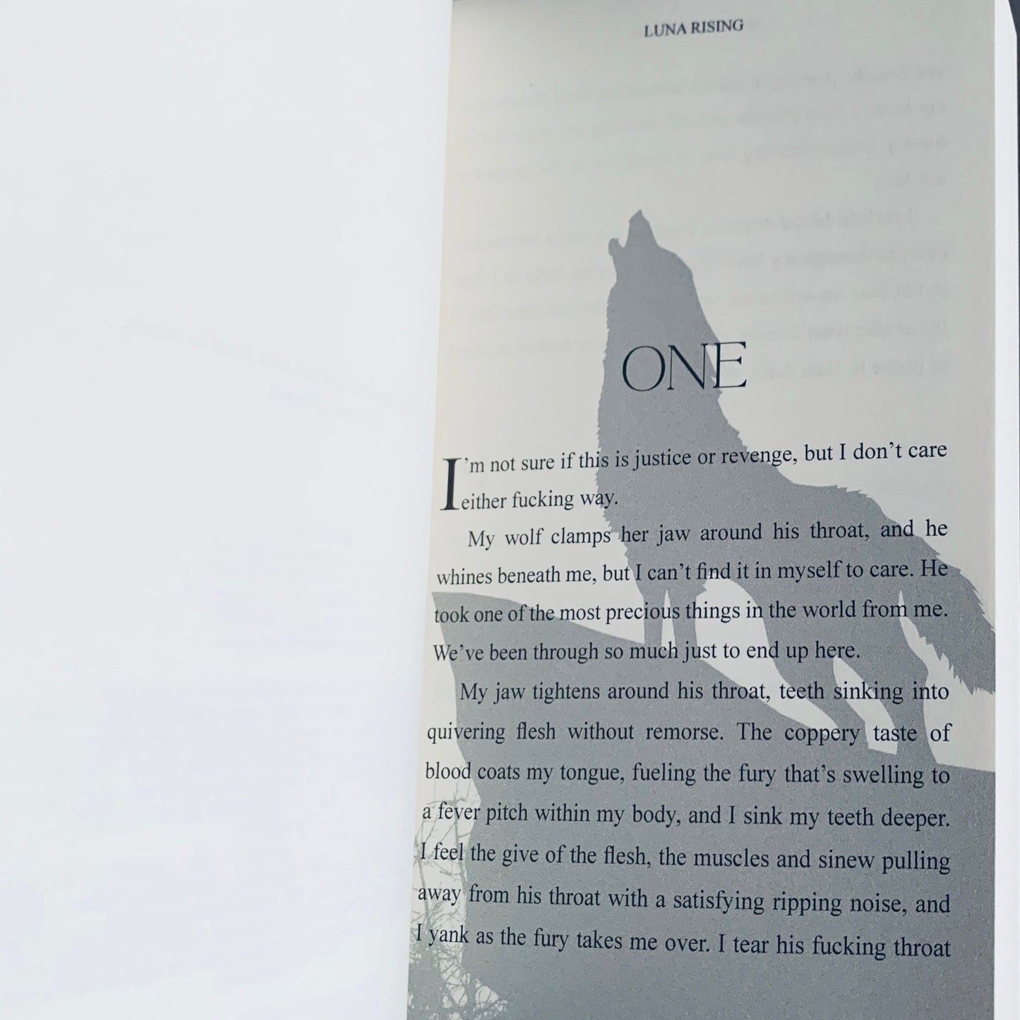 The Shadow Legacies Series by Sloane Murphy