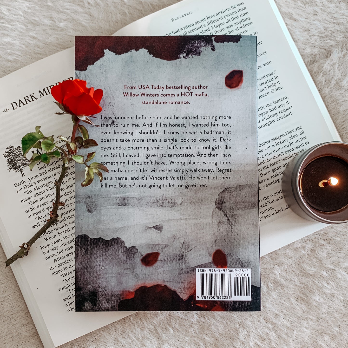 Valetti Crime Family Series by Willow Winters