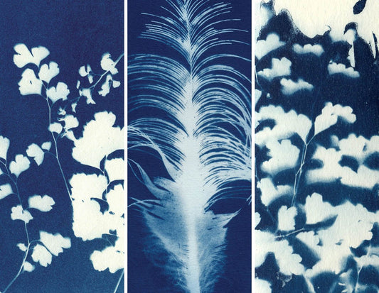 Cyanotypes Bookmarks - set of 3