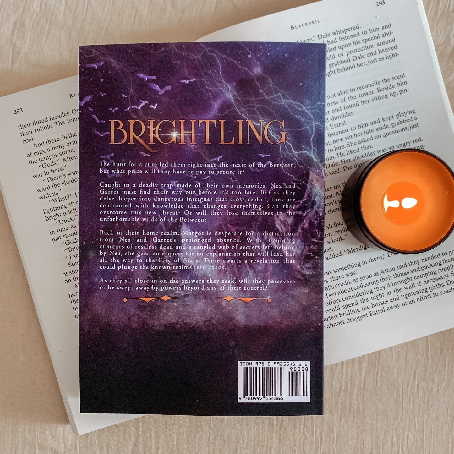 Sovereigns of Bright and Shadow Trilogy by C E Page