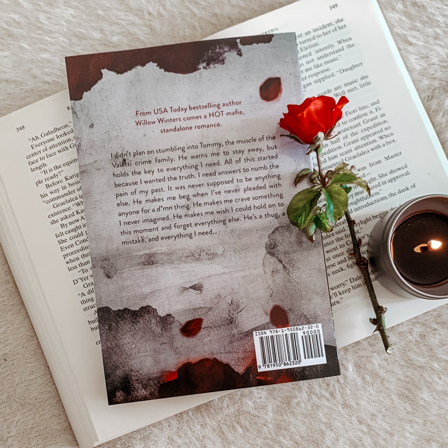 Valetti Crime Family Series by Willow Winters