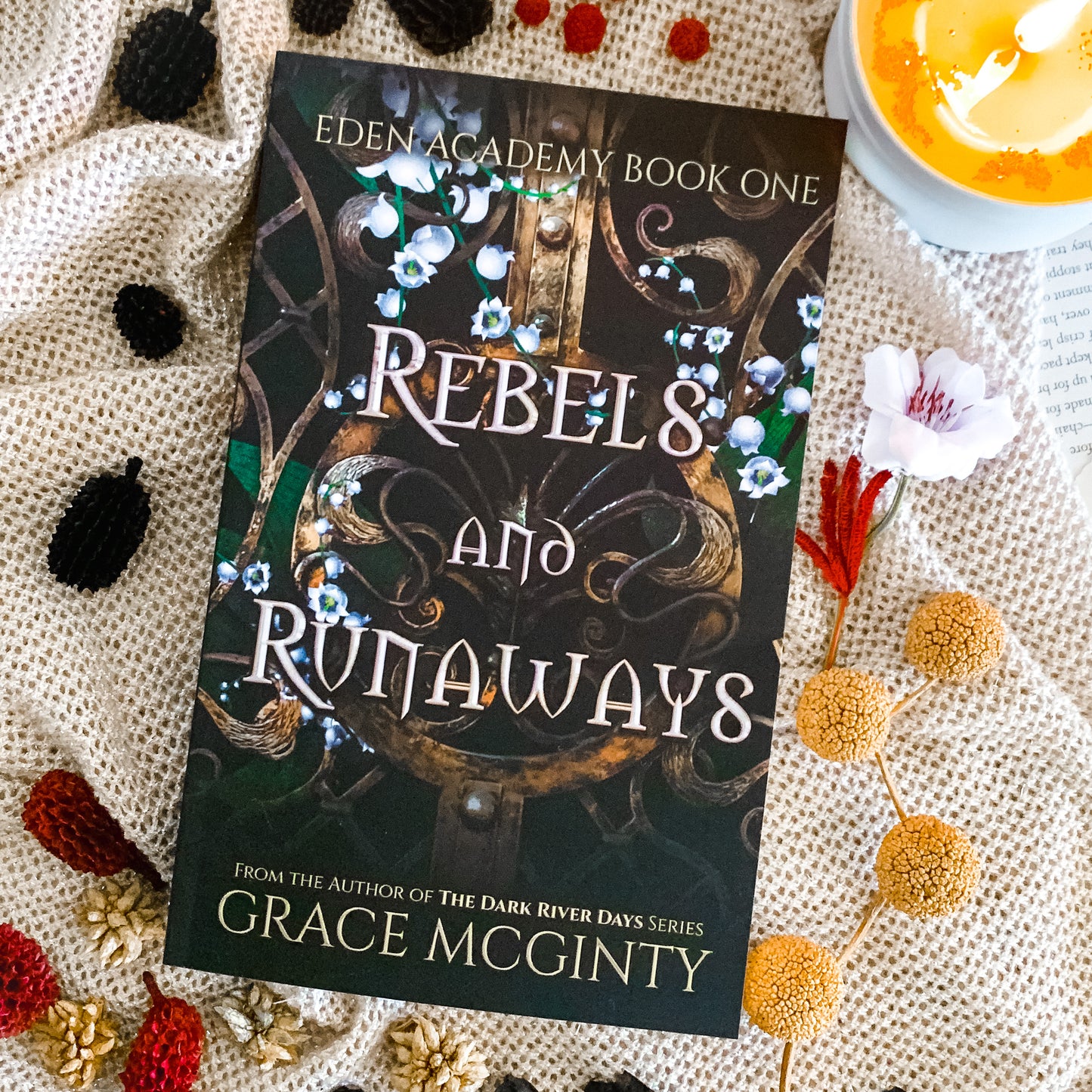 Eden Academy series by Grace McGinty