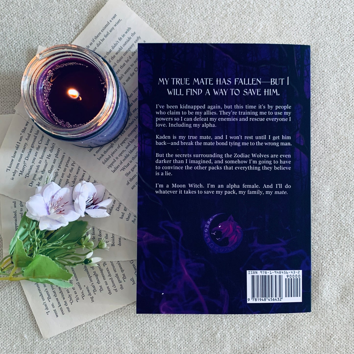 Zodiac Wolves Series by Elizabeth Briggs