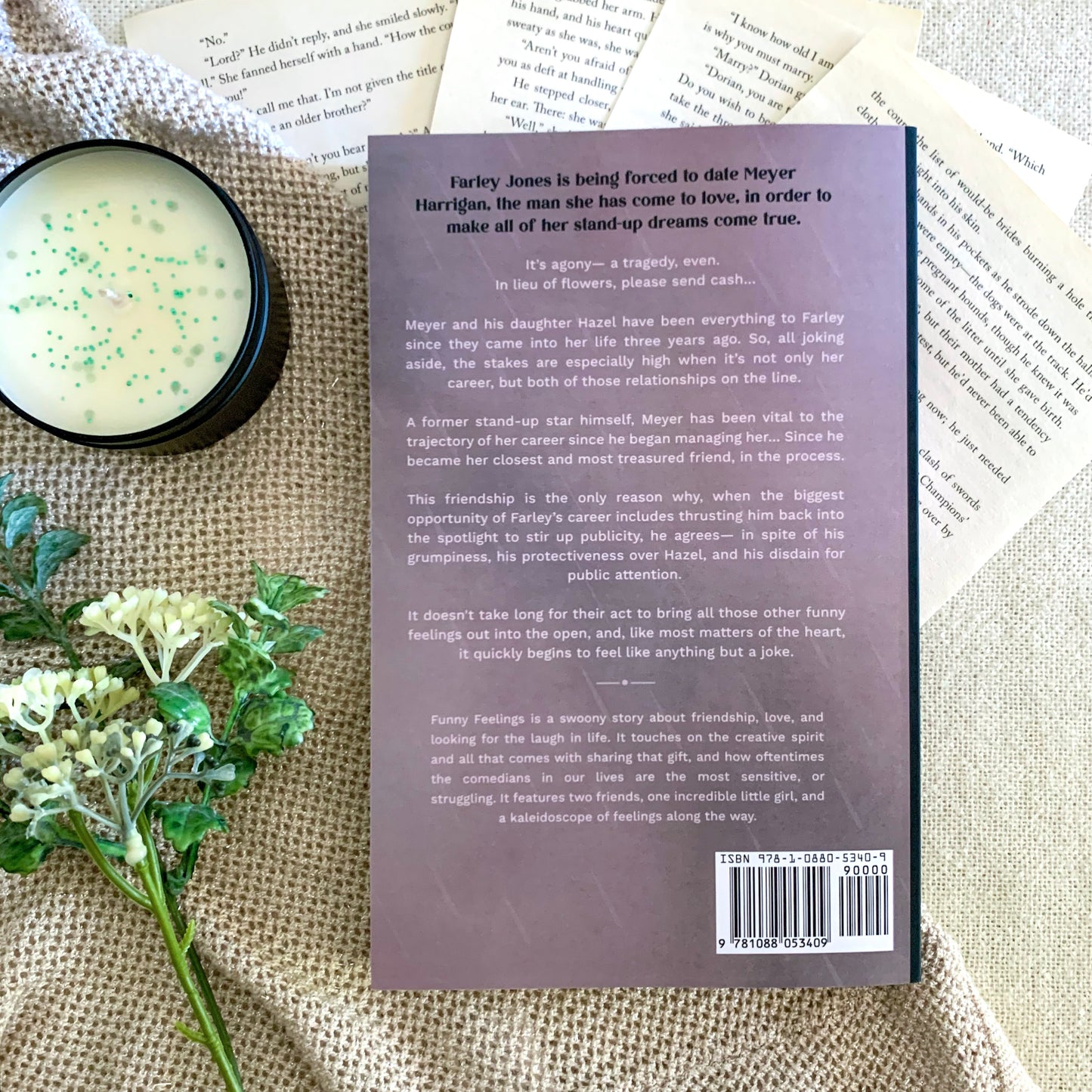 Funny Feelings by Tarah DeWitt