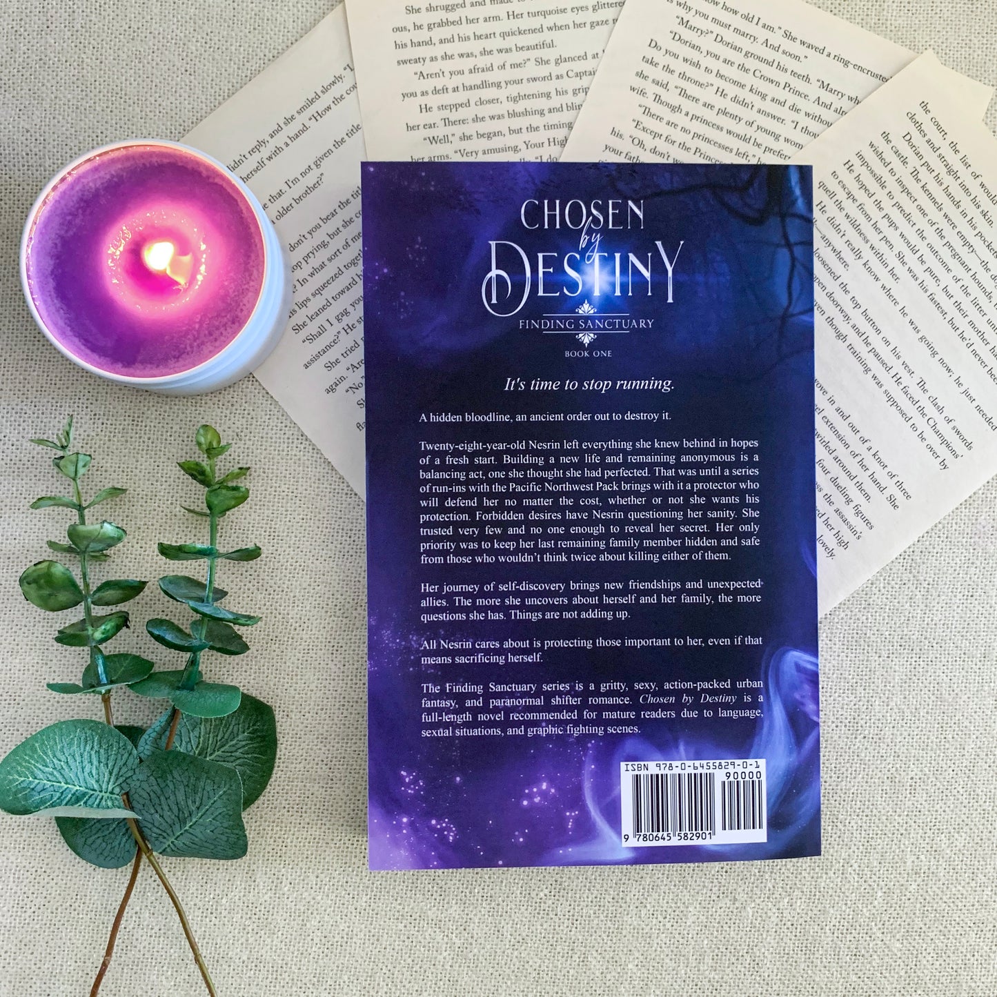 Finding Sanctuary series by Natasha Madden