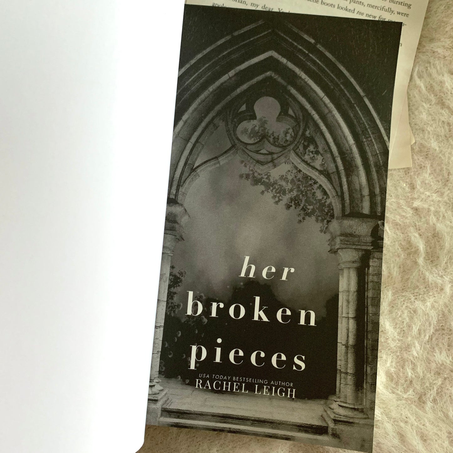 Fallen Kingdom Series by Rachel Leigh