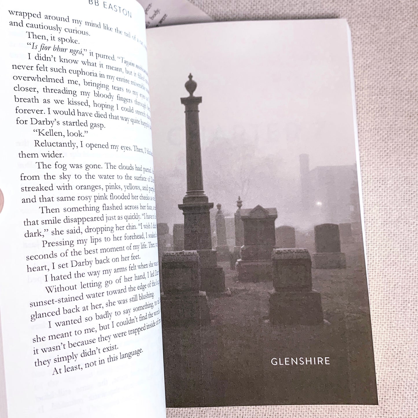 Devil of Dublin by BB Easton