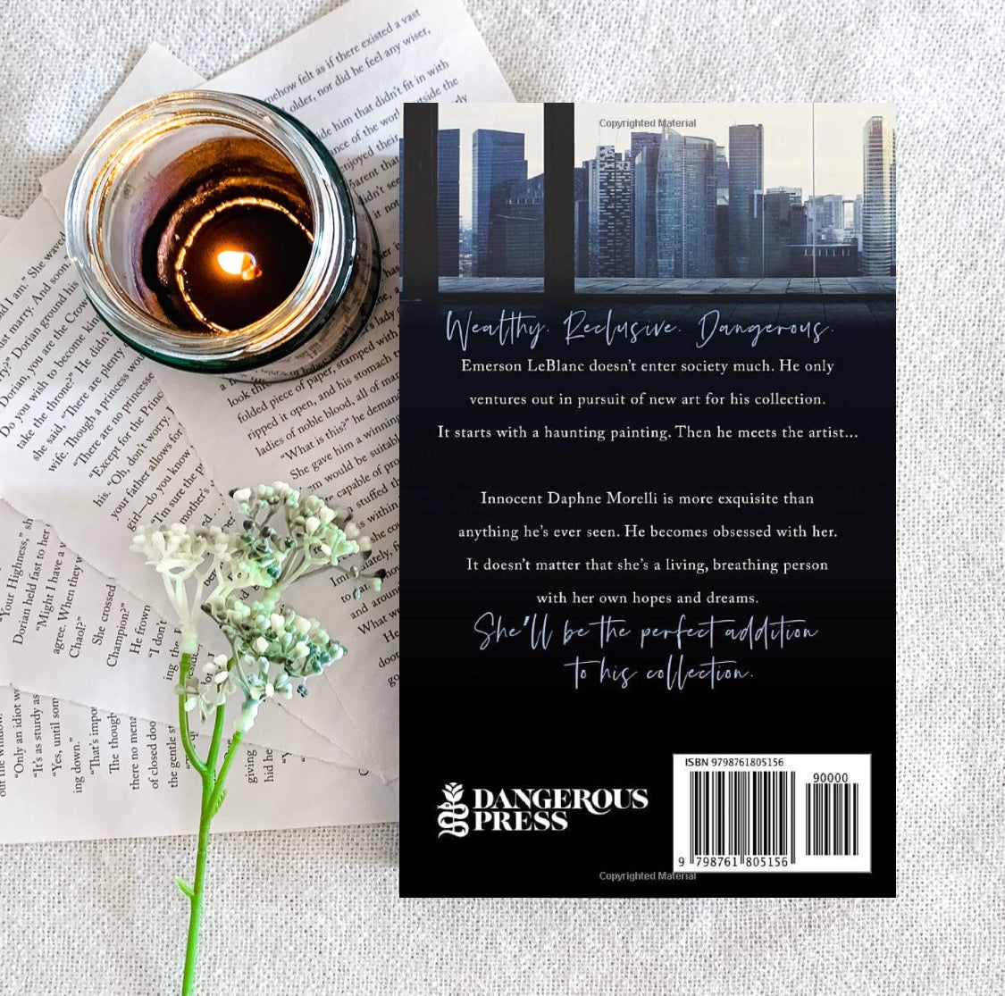 The Collector Trilogy by Amelia Wilde