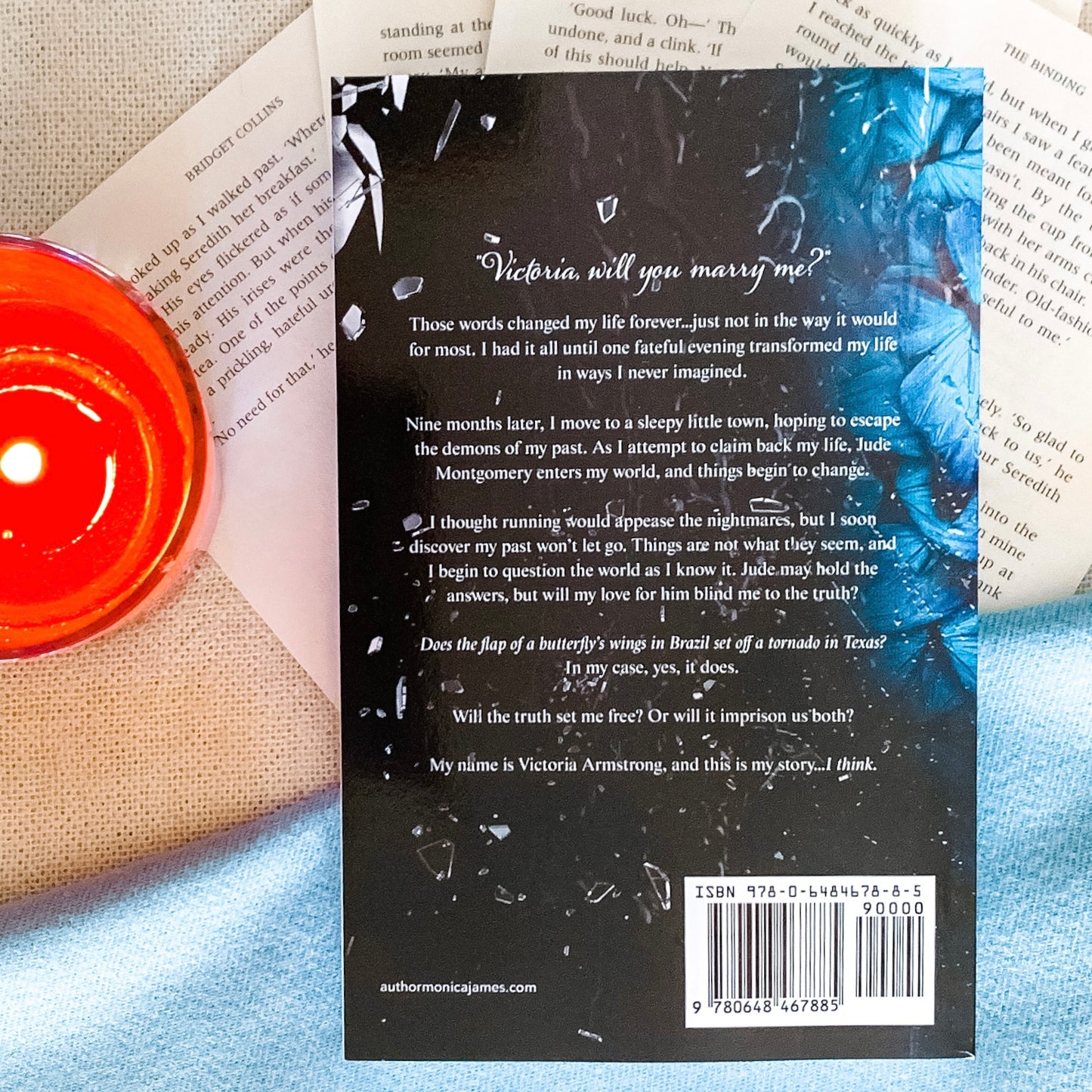 Chase the Butterflies by Monica James