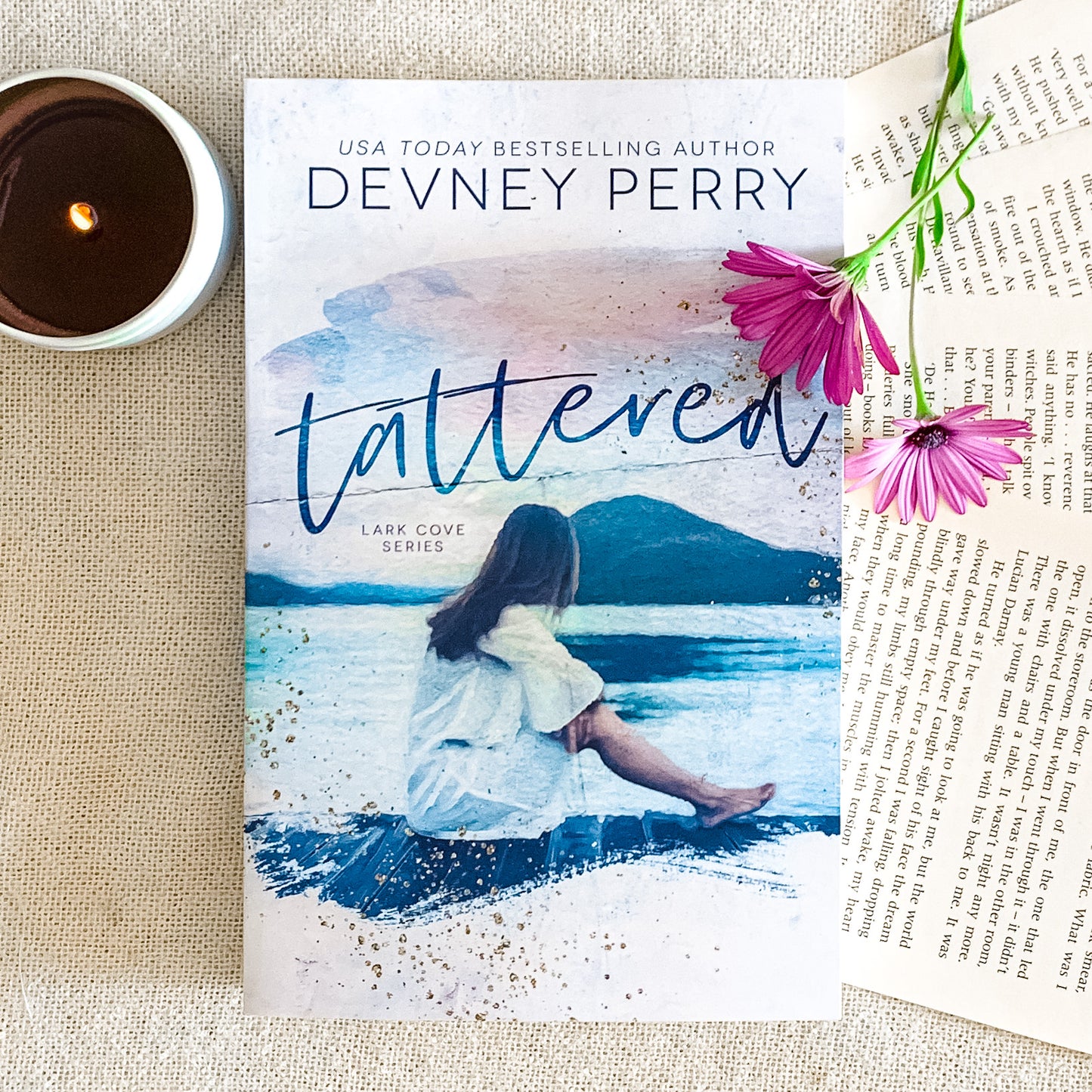 Lark Cove Series by Devney Perry