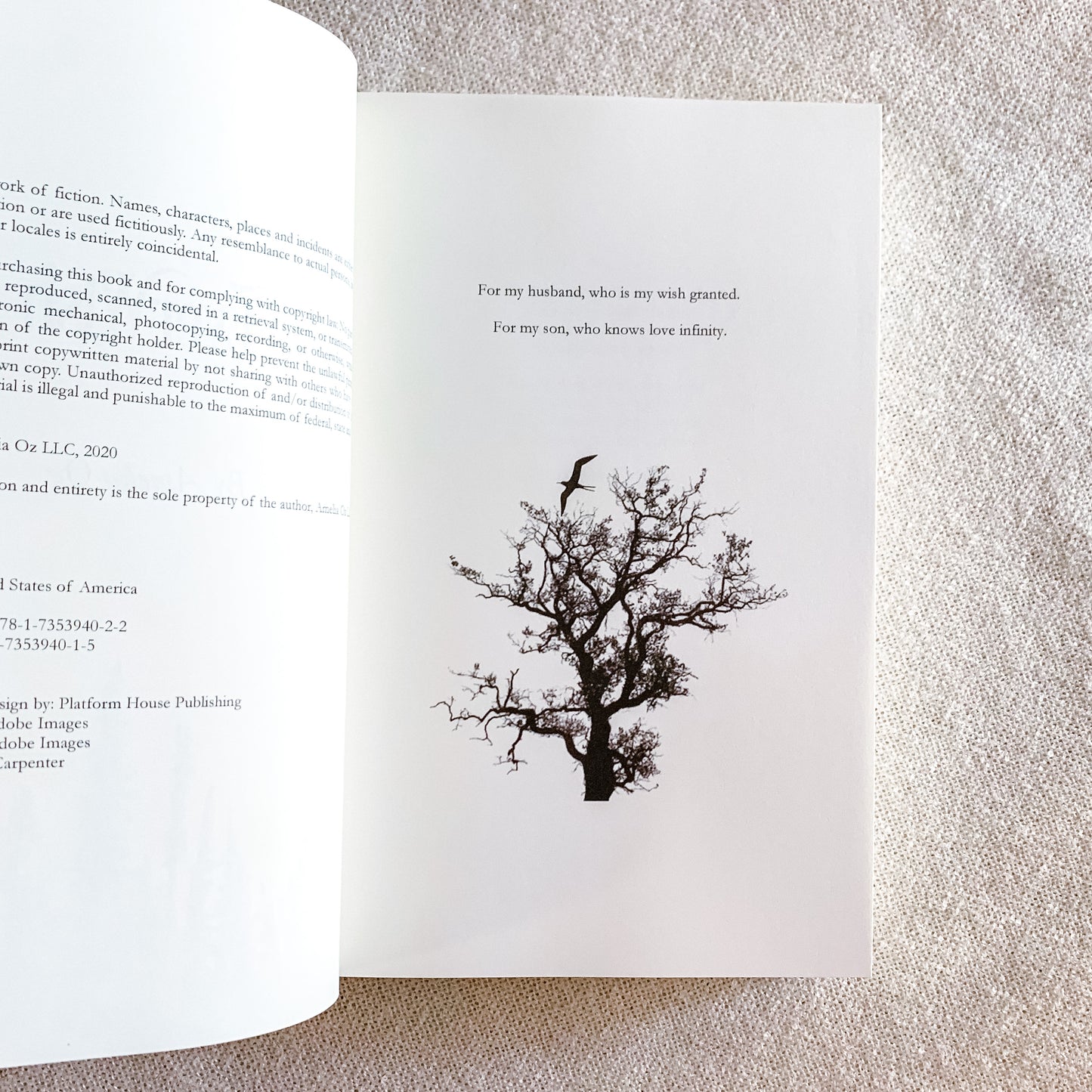 Everwish by Amelia Oz