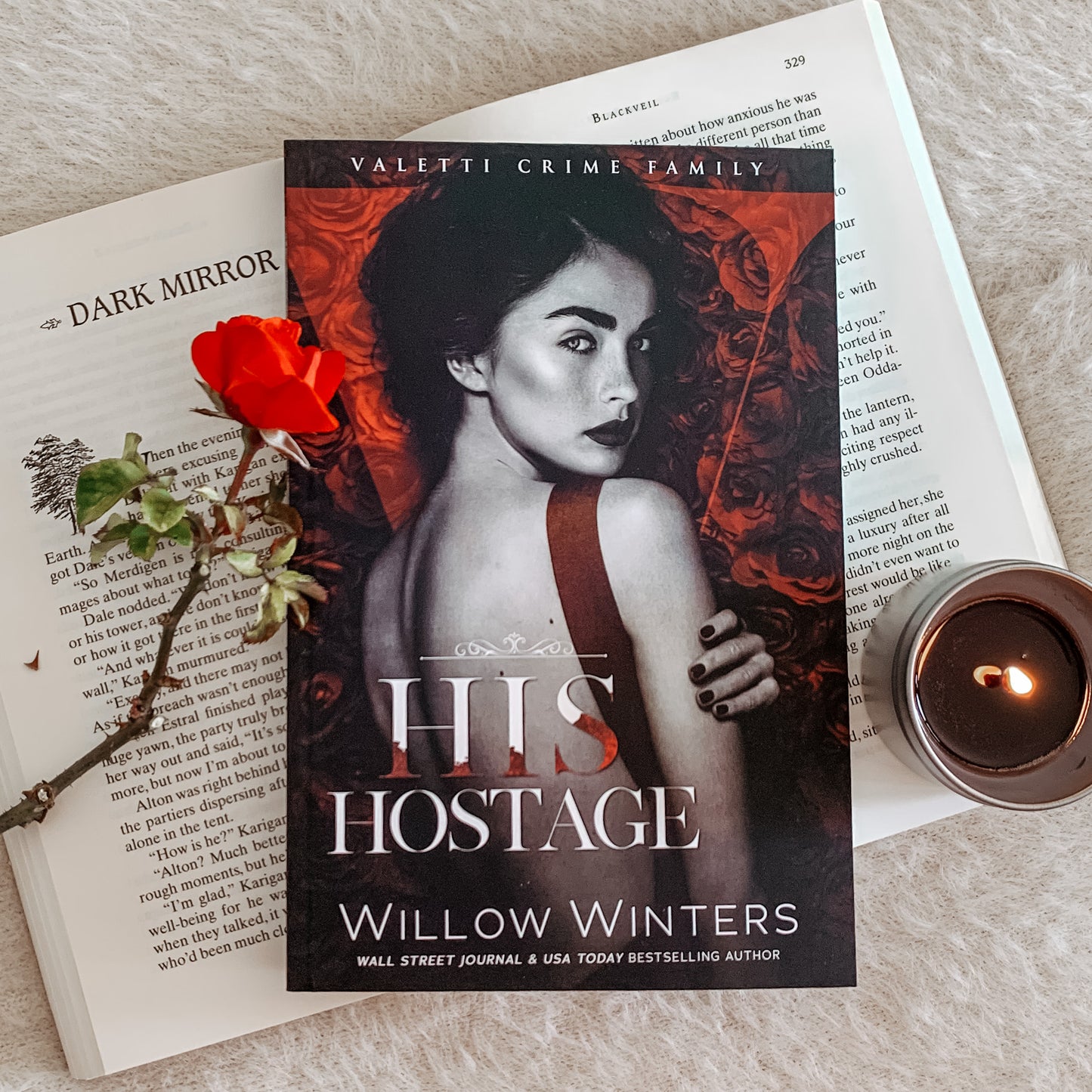 Valetti Crime Family Series by Willow Winters