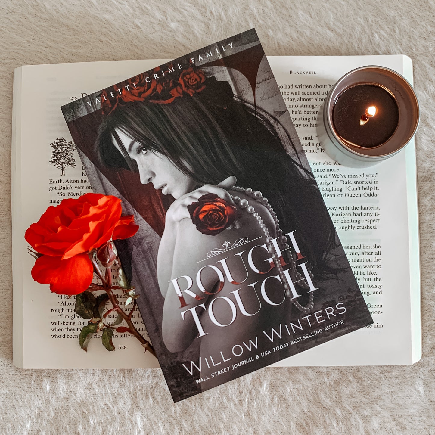 Valetti Crime Family Series by Willow Winters