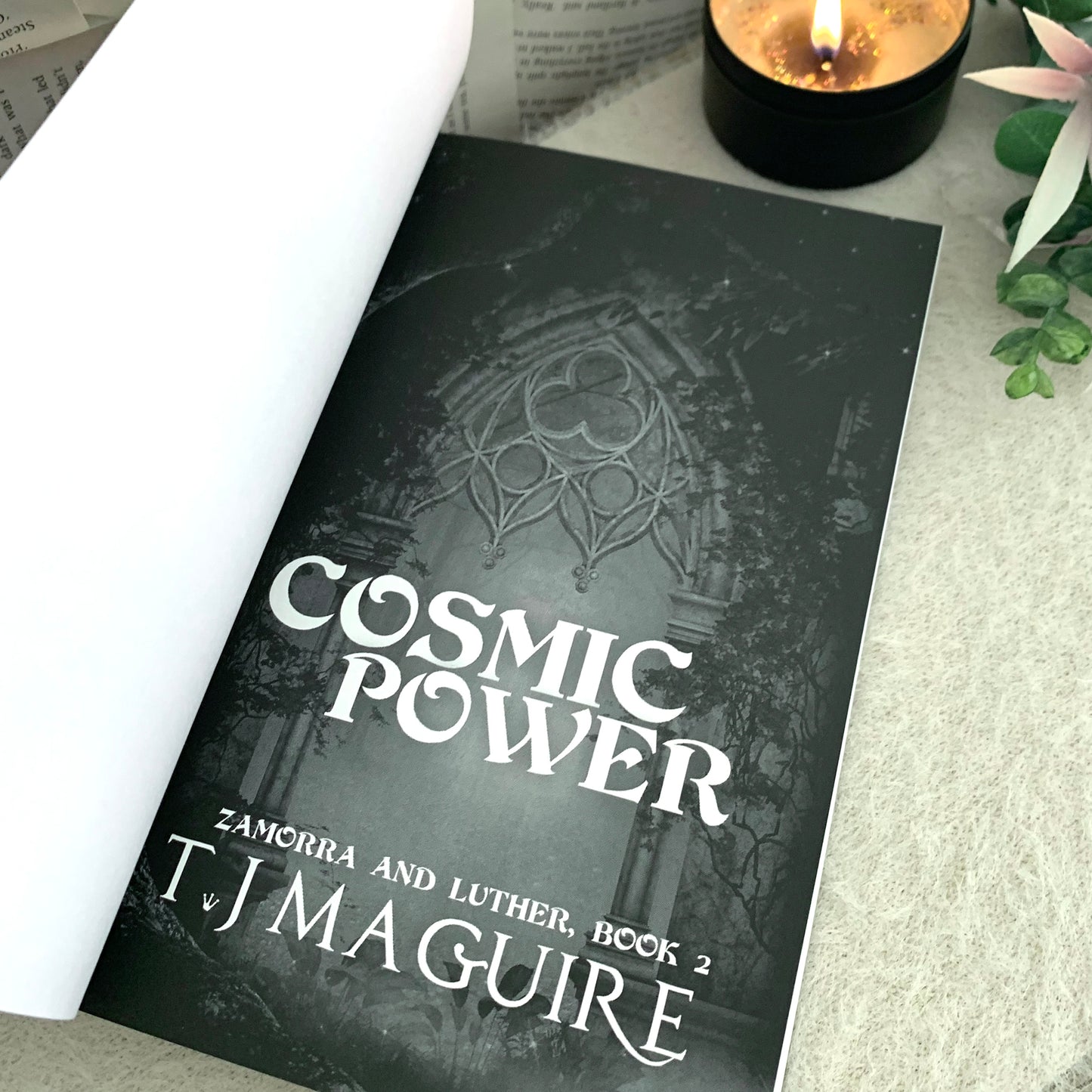 Zamorra and Luther series by T. J. Maguire