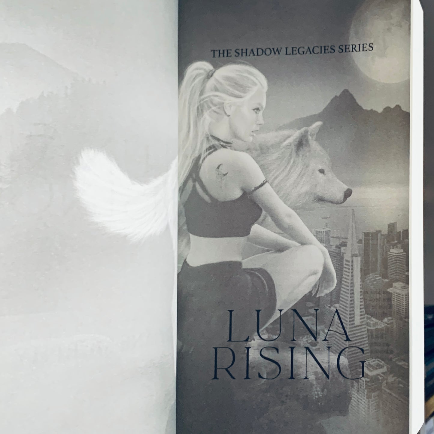 The Shadow Legacies Series by Sloane Murphy