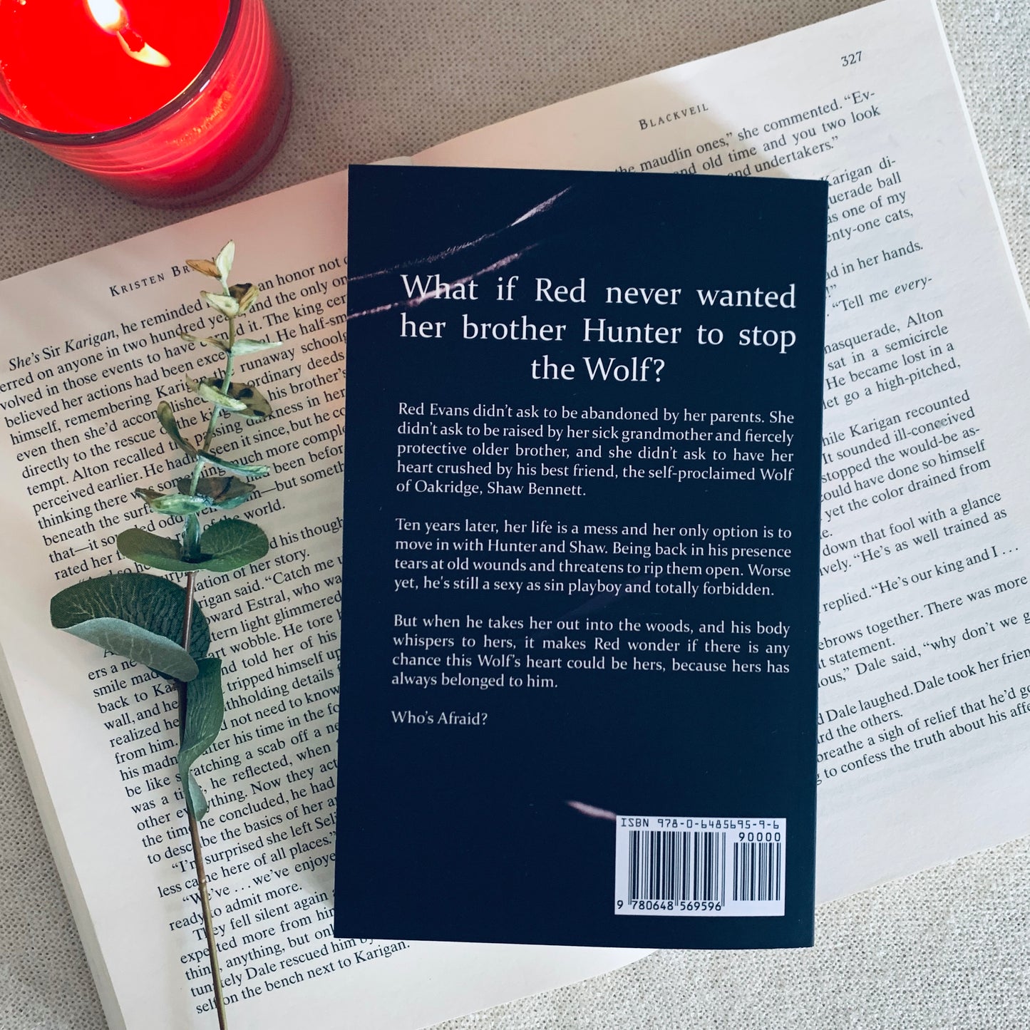 Wolf (A Little Red Riding Hood Retelling) by J A Wynters