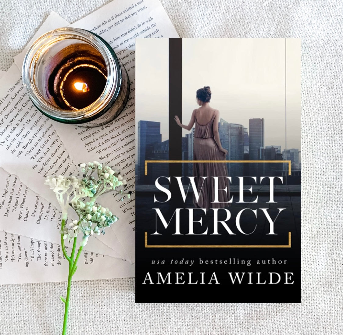The Collector Trilogy by Amelia Wilde