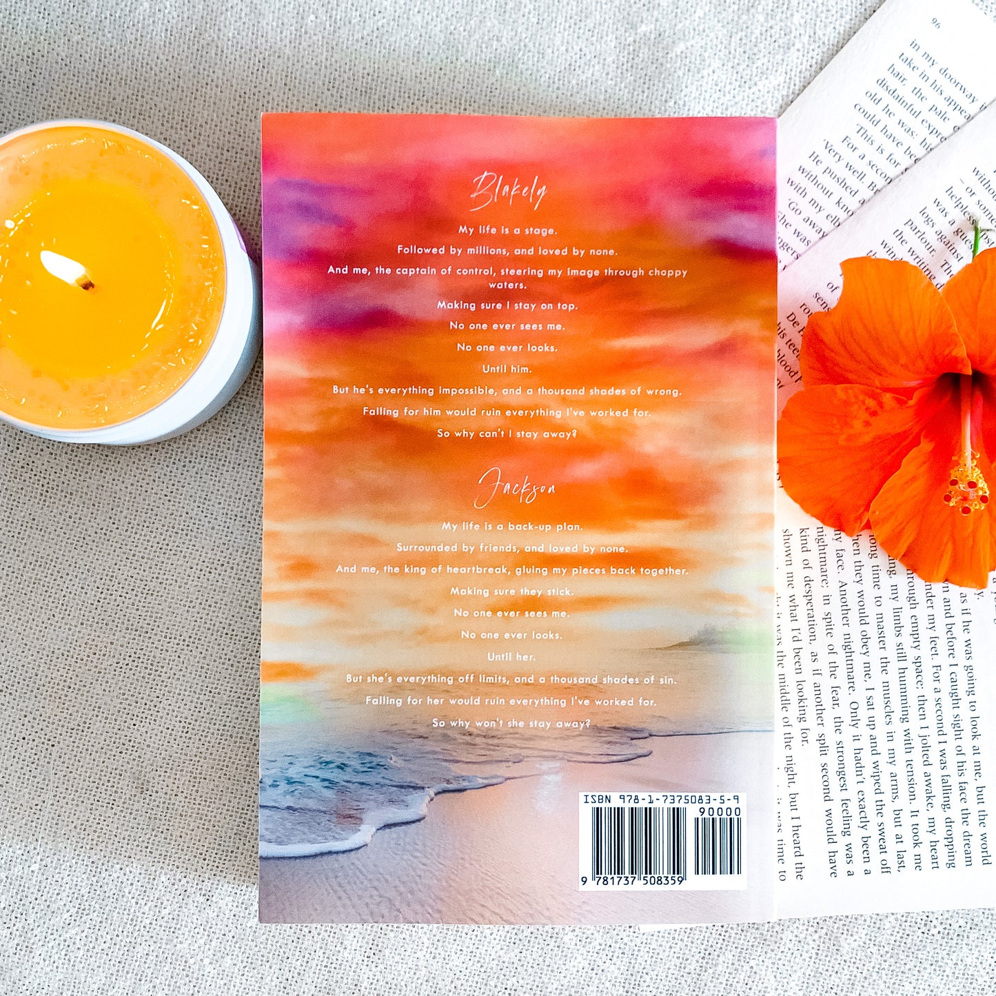 Sugarlake Series by Emily McIntire