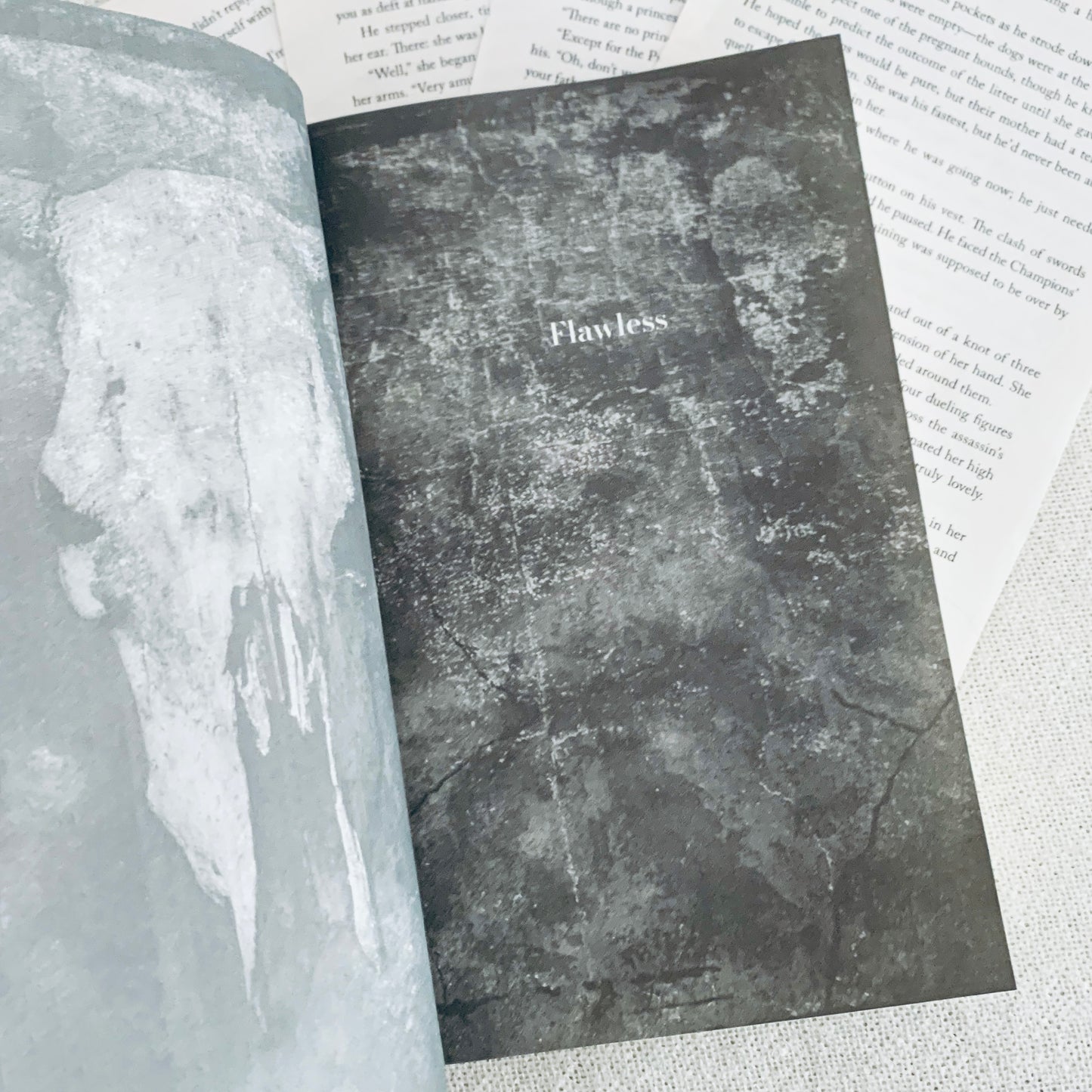 Chestnut Springs series by Elsie Silver