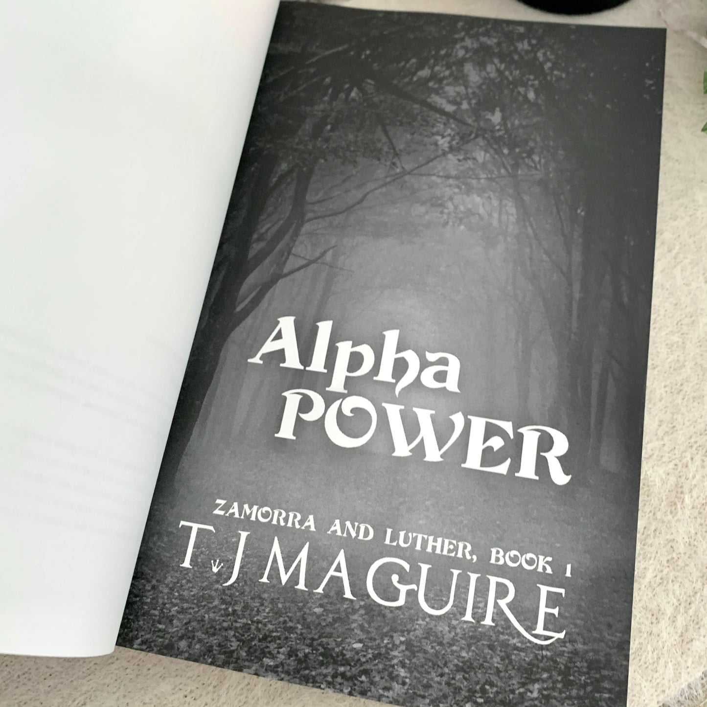 Zamorra and Luther series by T. J. Maguire