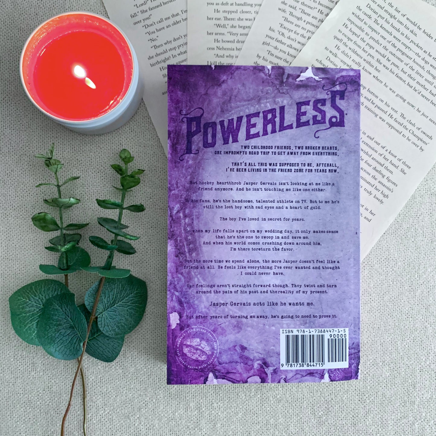 Chestnut Springs series by Elsie Silver