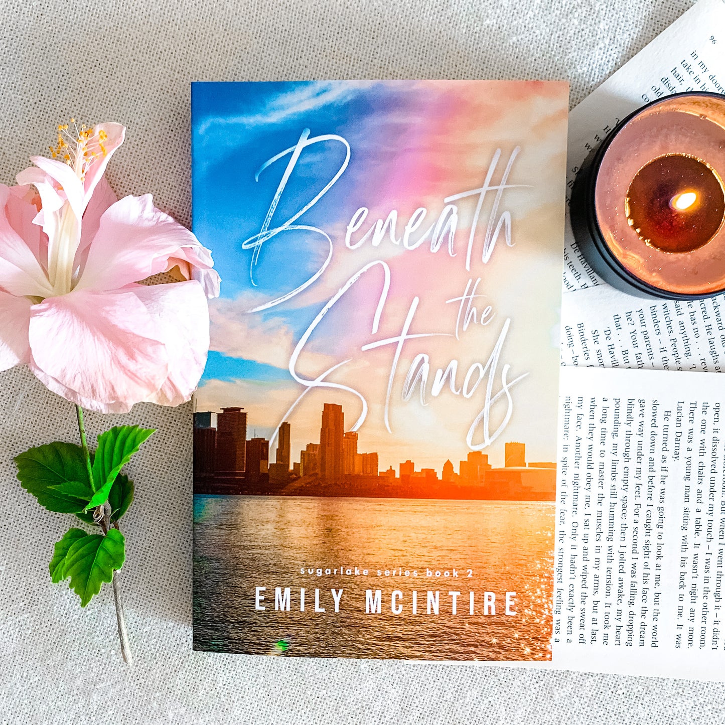 Sugarlake Series by Emily McIntire