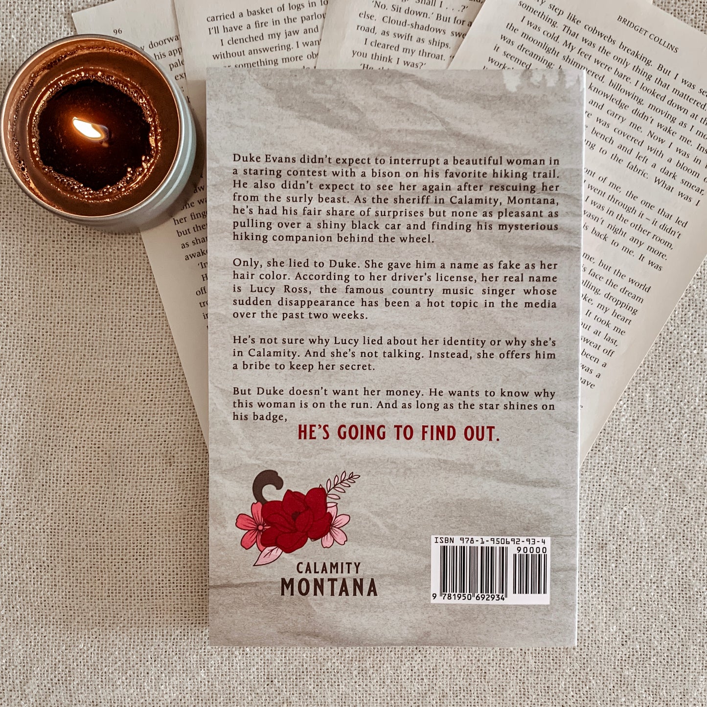 Calamity Montana Series by Willa Nash