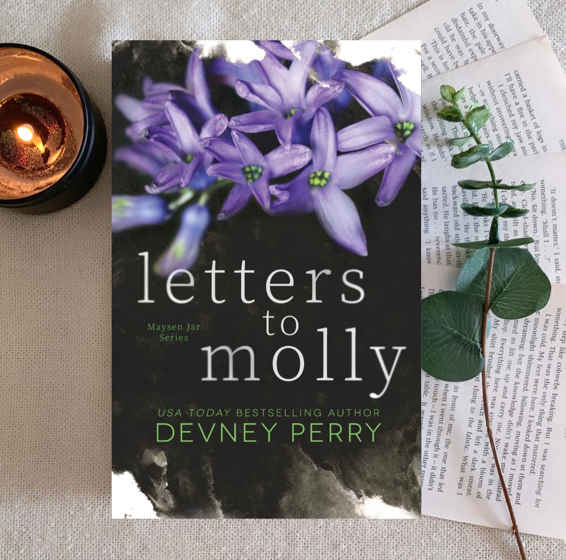 Maysen Jar Series by Devney Perry