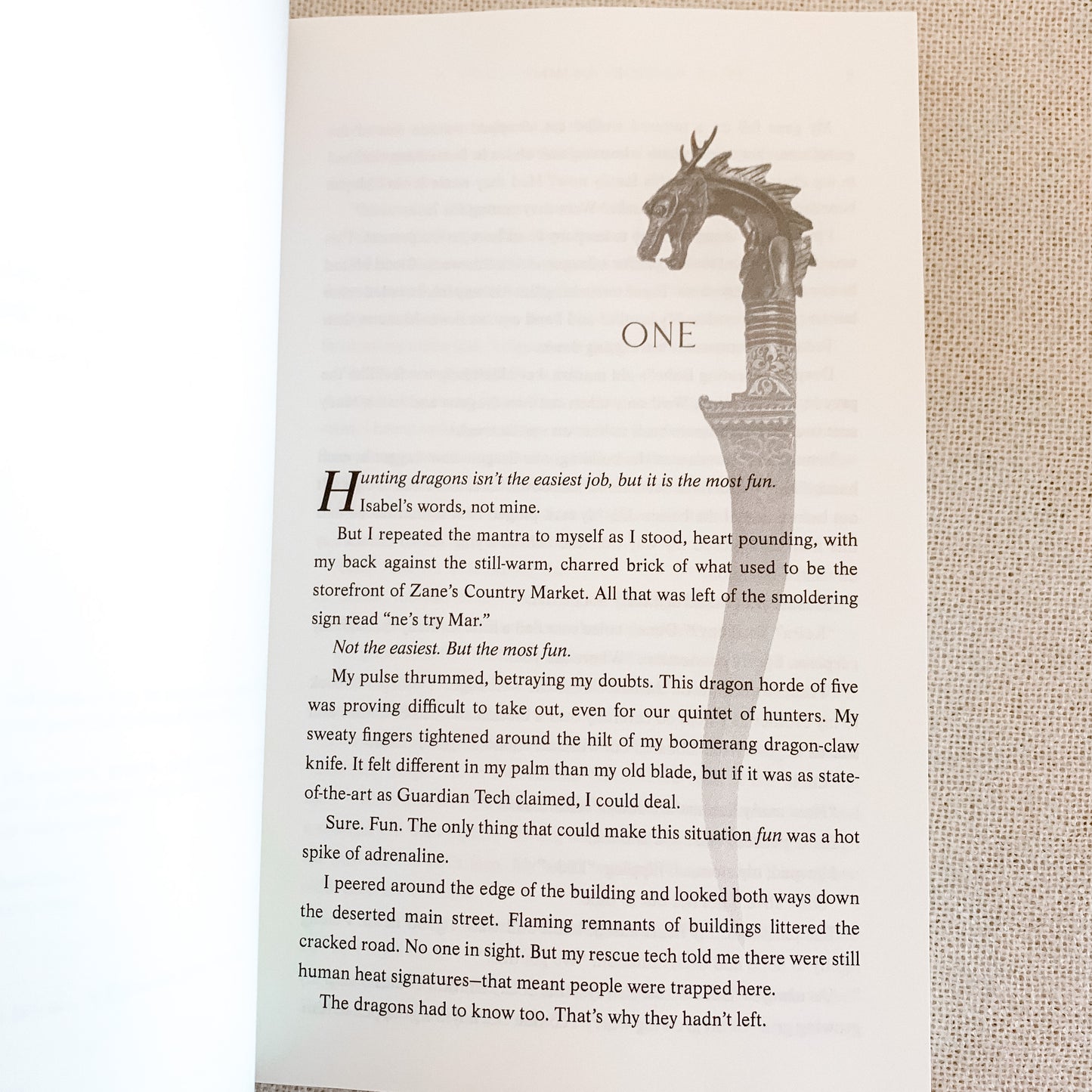 A Dragon by Any Other Name by S. D. Grimm