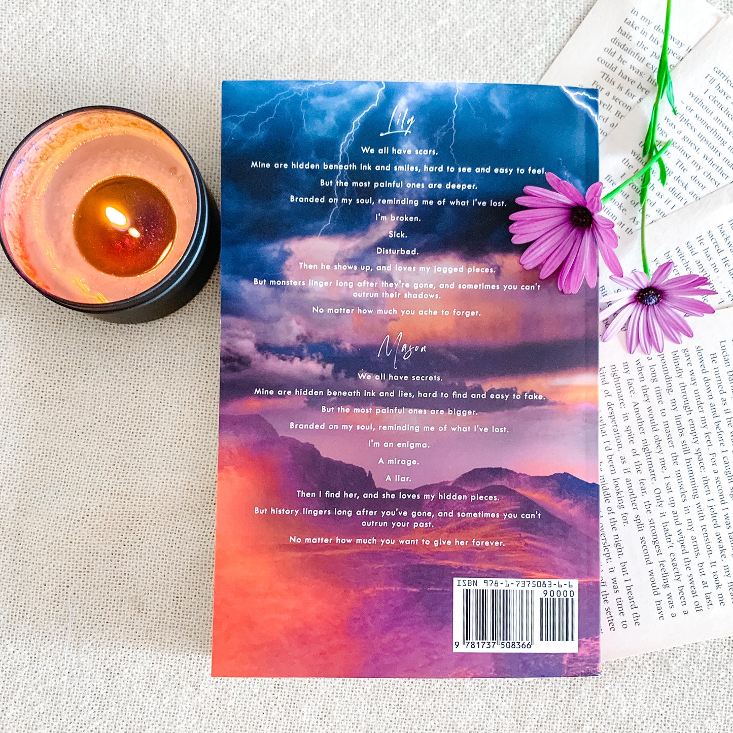 Sugarlake Series by Emily McIntire