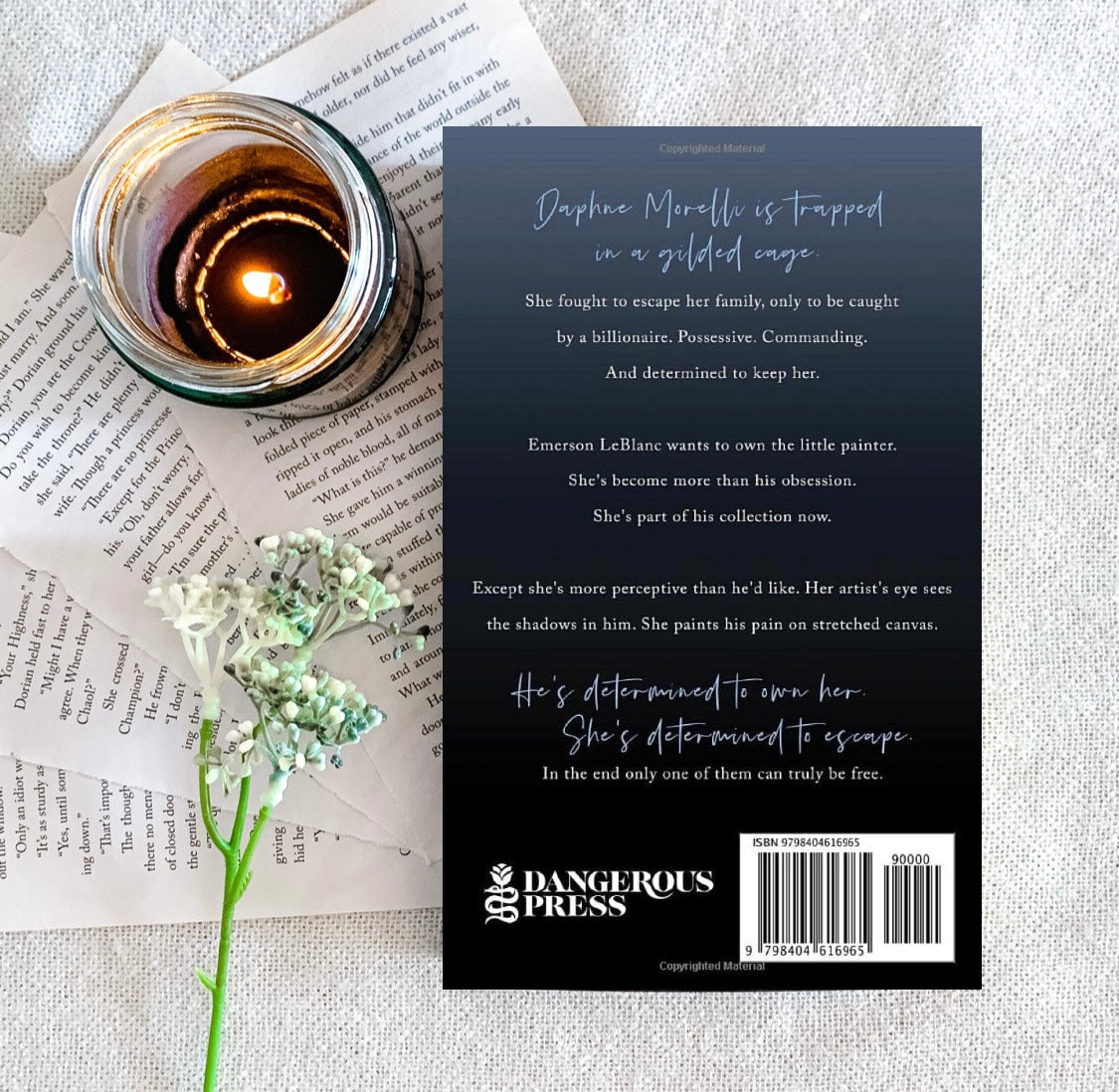 The Collector Trilogy by Amelia Wilde