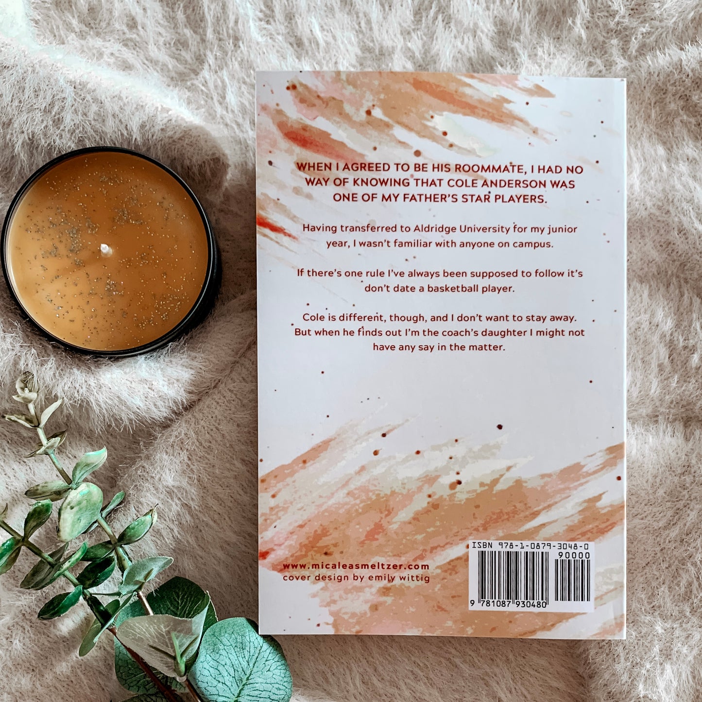 The Boys Series - Special Editions by Micalea Smeltzer